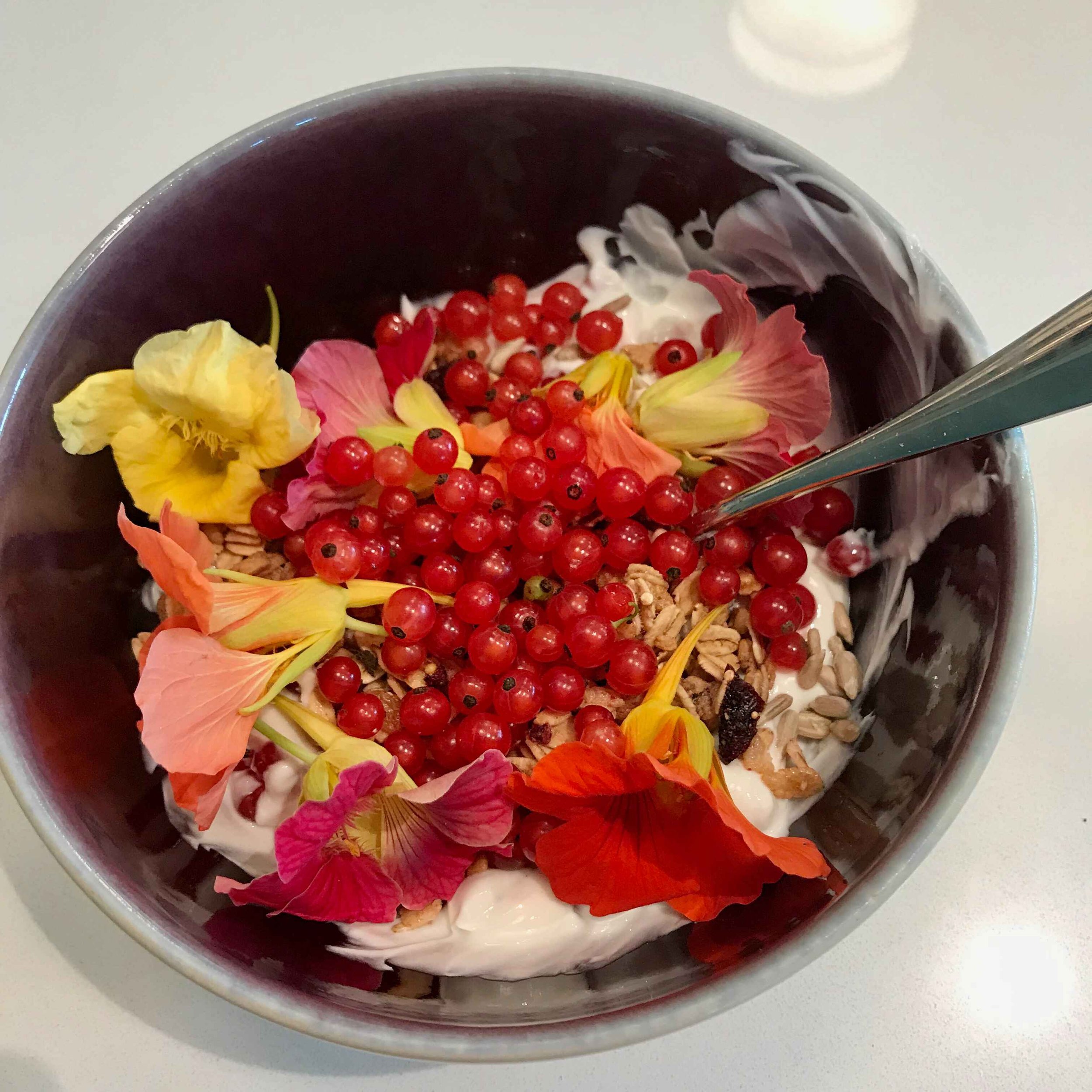 spring gallery 9.jpeg