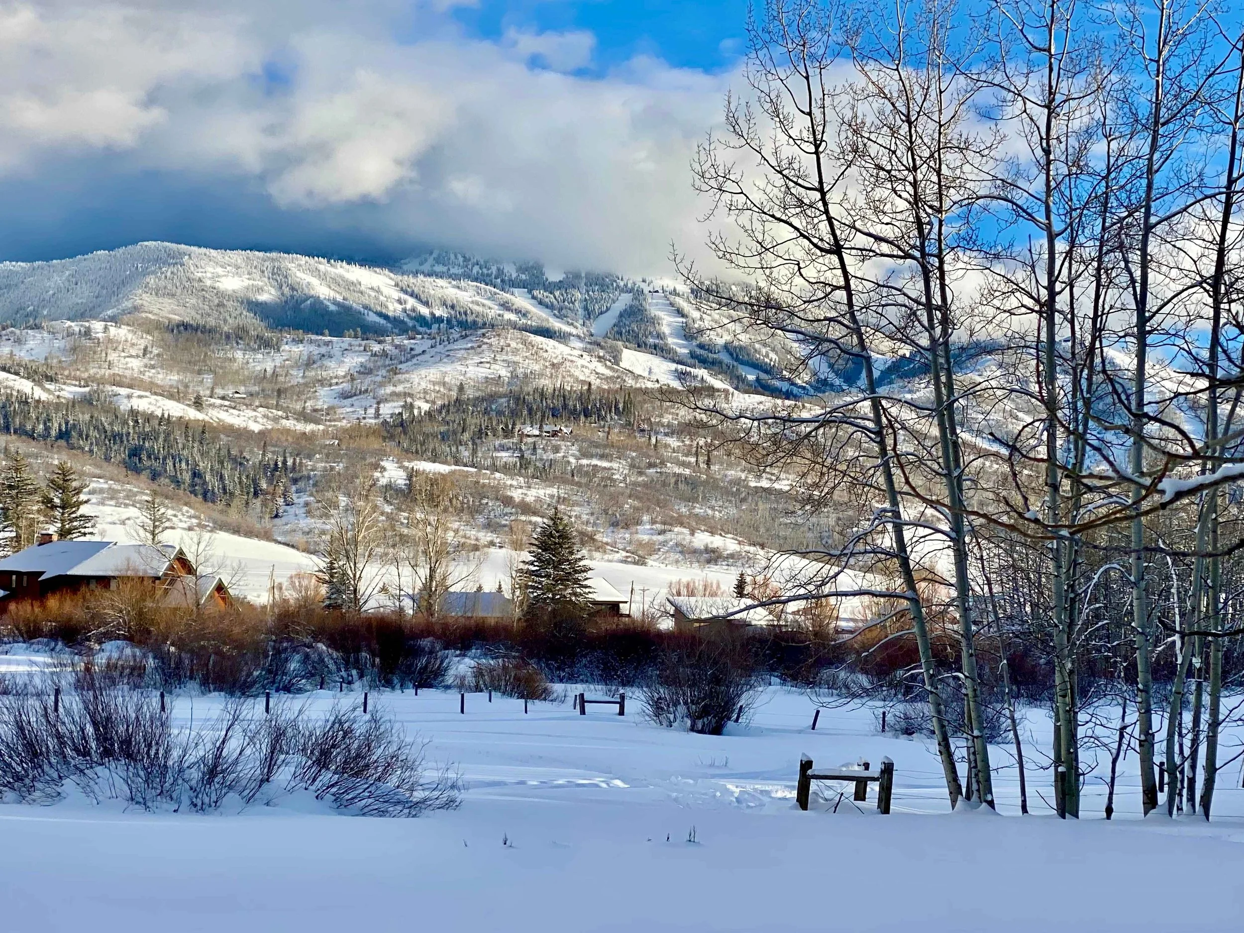 winter gallery 18.jpeg