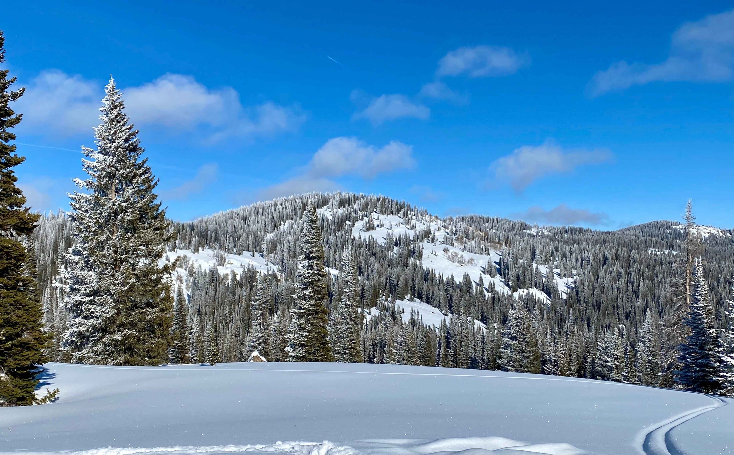 winter gallery 20.jpeg