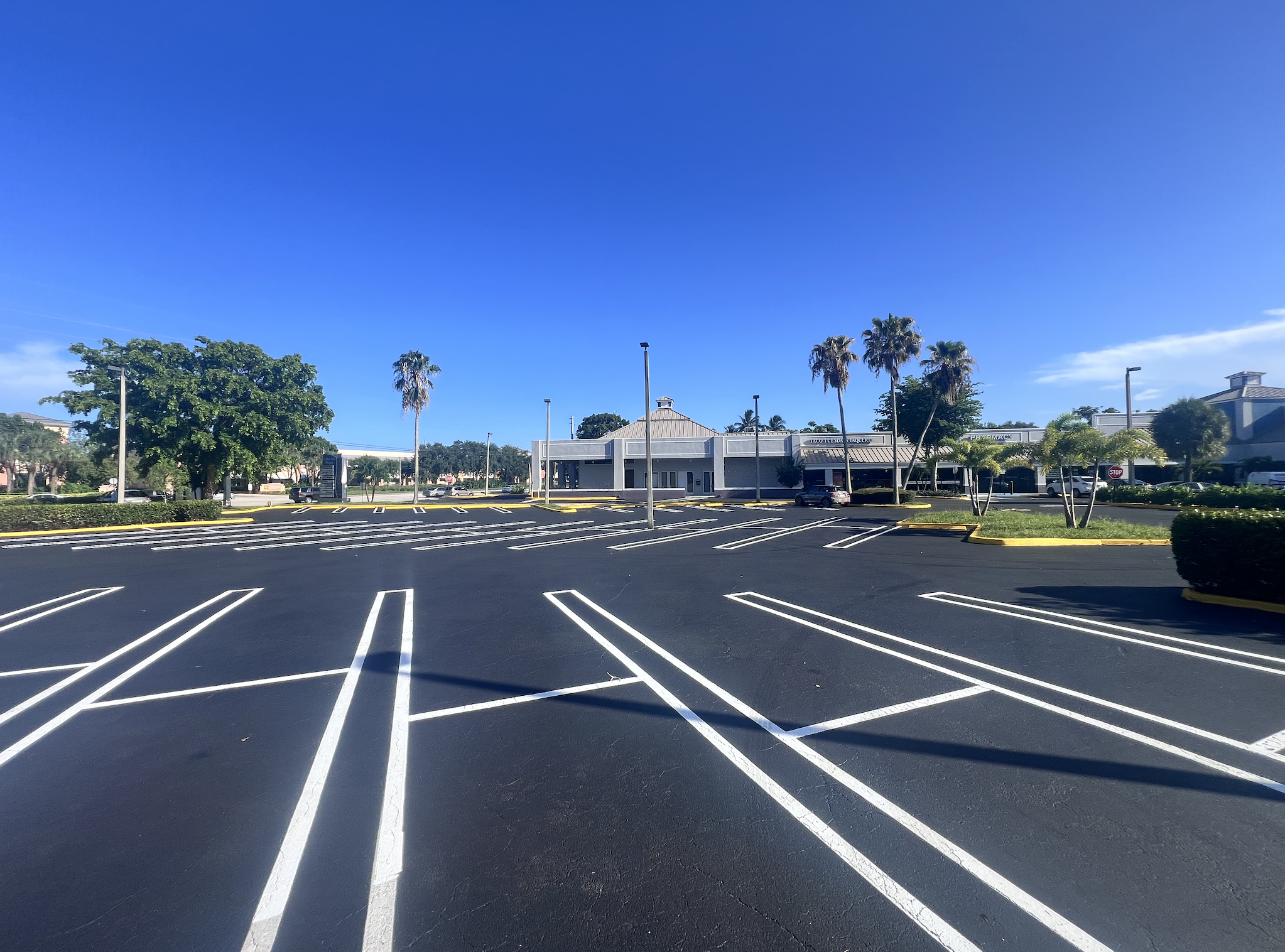 Wide view of an empty, freshly painted parking lot with white lane markings, palm trees, and a small commercial building under a clear blue sky.