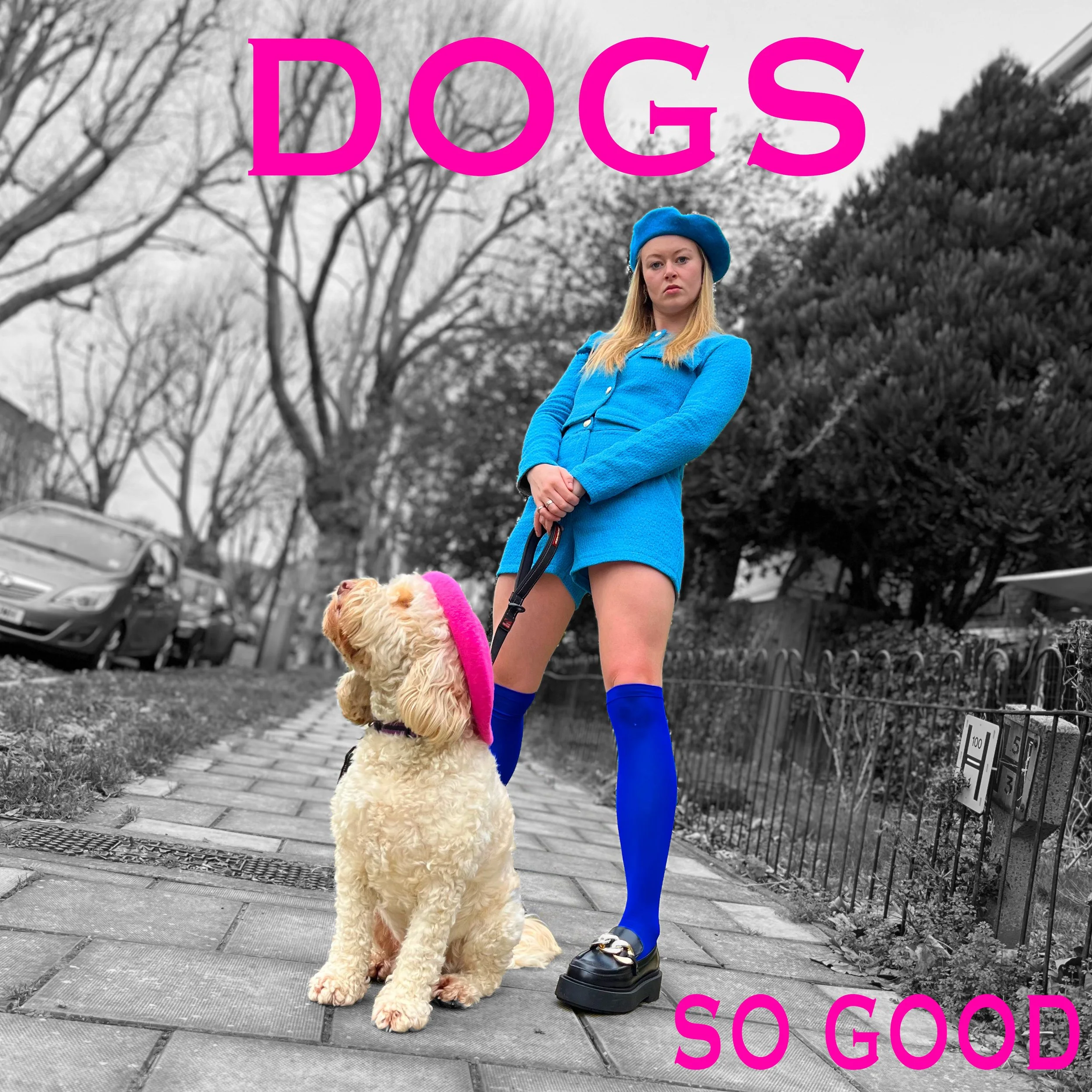 DOGS FINAL.jpg
