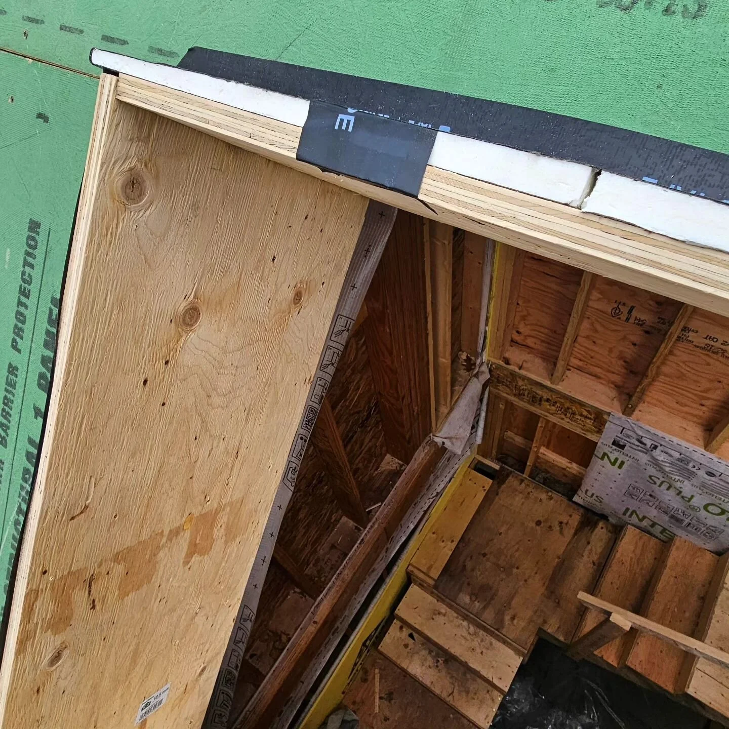 Bonsai Laneway House — Laneway Custom Build