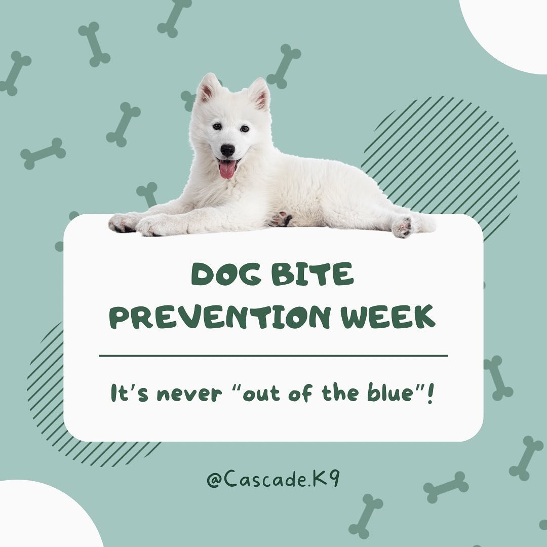 Remember to teach kids to respect dog&rsquo;s boundaries, learn to read their body language, and to give them space whenever they are eating or enjoying a chew toy. It&rsquo;s up to us to keep both kids and dogs safe. Let us know if you need help man