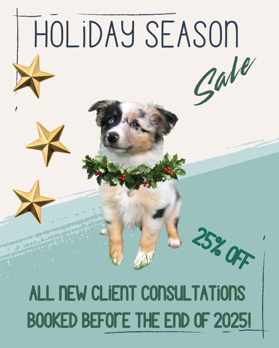 Holiday Sale! If you&rsquo;ve been thinking about scheduling a consultation, now is the time to do it! Happy Holidays!  #dogtrainingwashington #puyallupwa #cascadecanine #puyallup #dogsoftacoma #253 #tacomawa #universityplacewa #tacomasmallbusinesses