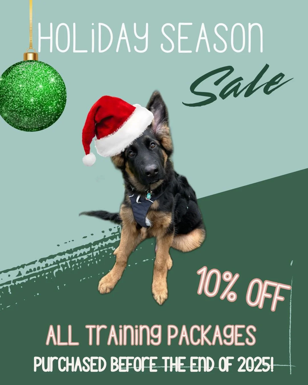 The sales keep coming! This holiday season is the time to grab that training package you&rsquo;ve been thinking about! Your dog doesn&rsquo;t know it yet, but it could be there favorite present ever!  #dogtrainingwashington #puyallupwa #cascadecanine