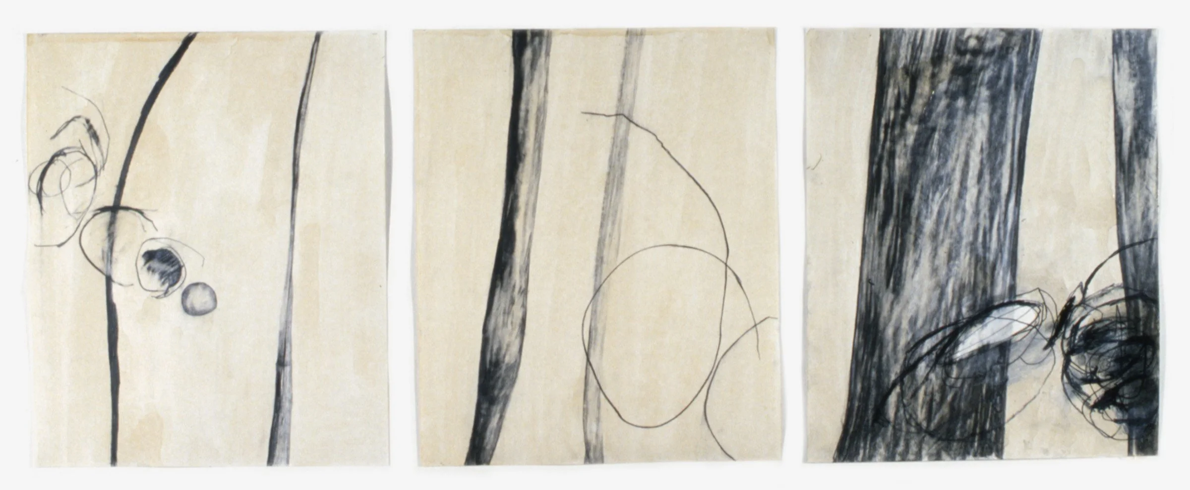 Teahouse Part 5, 1995. Graphite and shellac on Bristol, 17 x 42”.