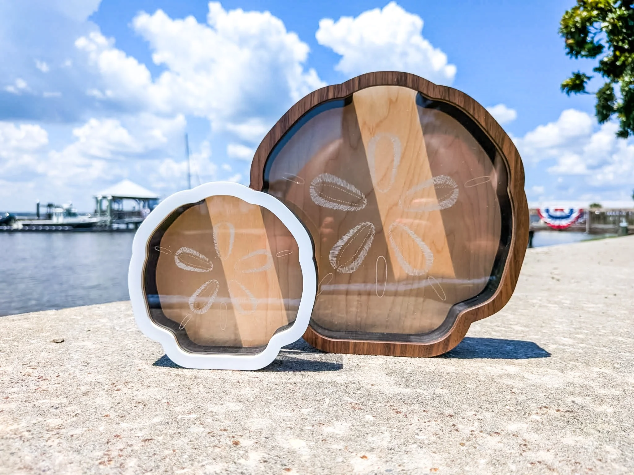 Beach Bank - Sand Dollar