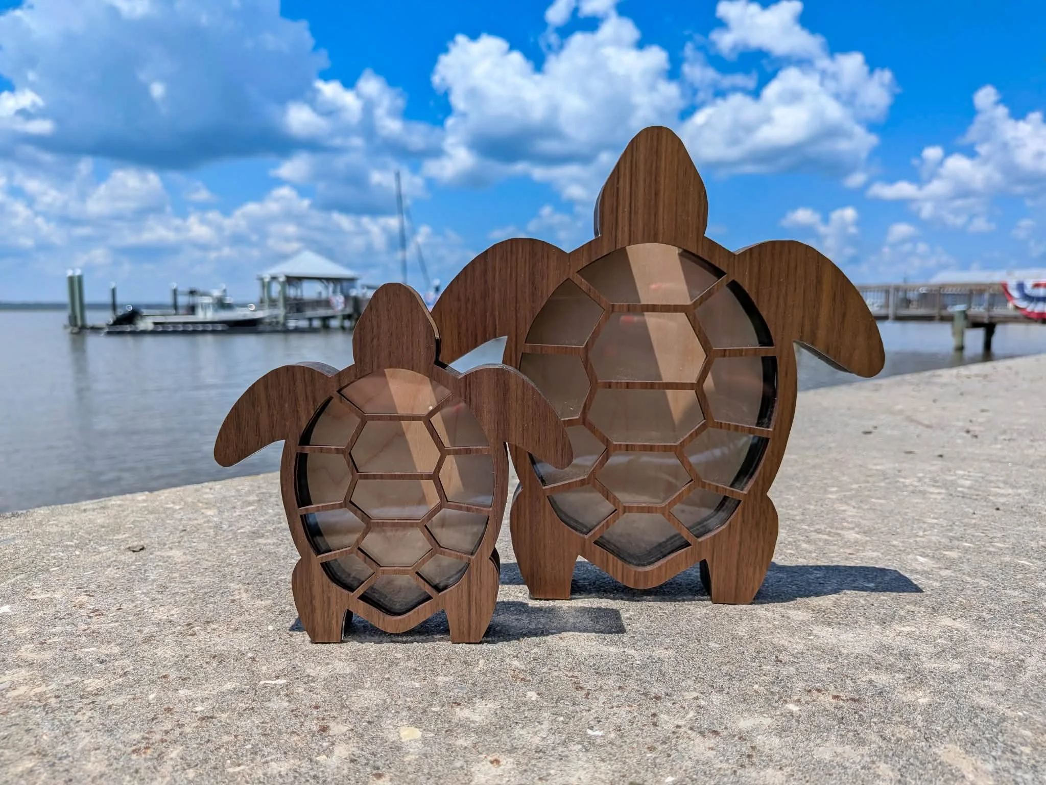 Beach Bank - Sea Turtle