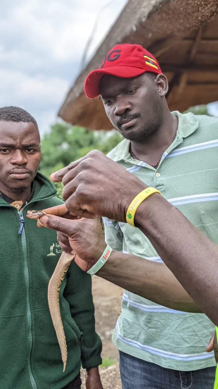 Snake handling courses