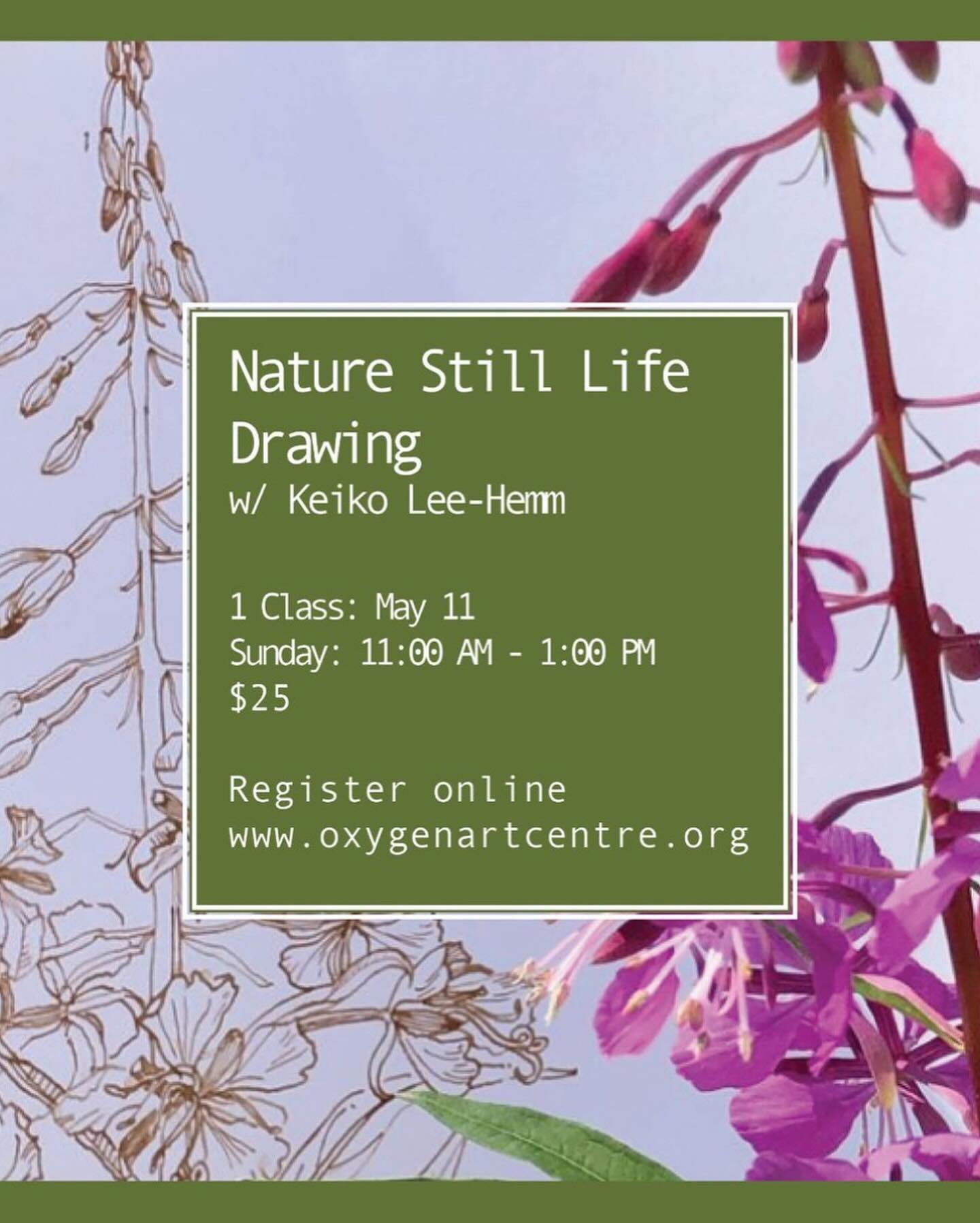 🌷The land is waking up and the colours are coming back. Let&rsquo;s savour nature&rsquo;s beauty together. I&rsquo;ll be leading a Nature Still Life drawing session at @oxygen.art.centre on May 11, 11-1. Space is limited, but classes only run when f