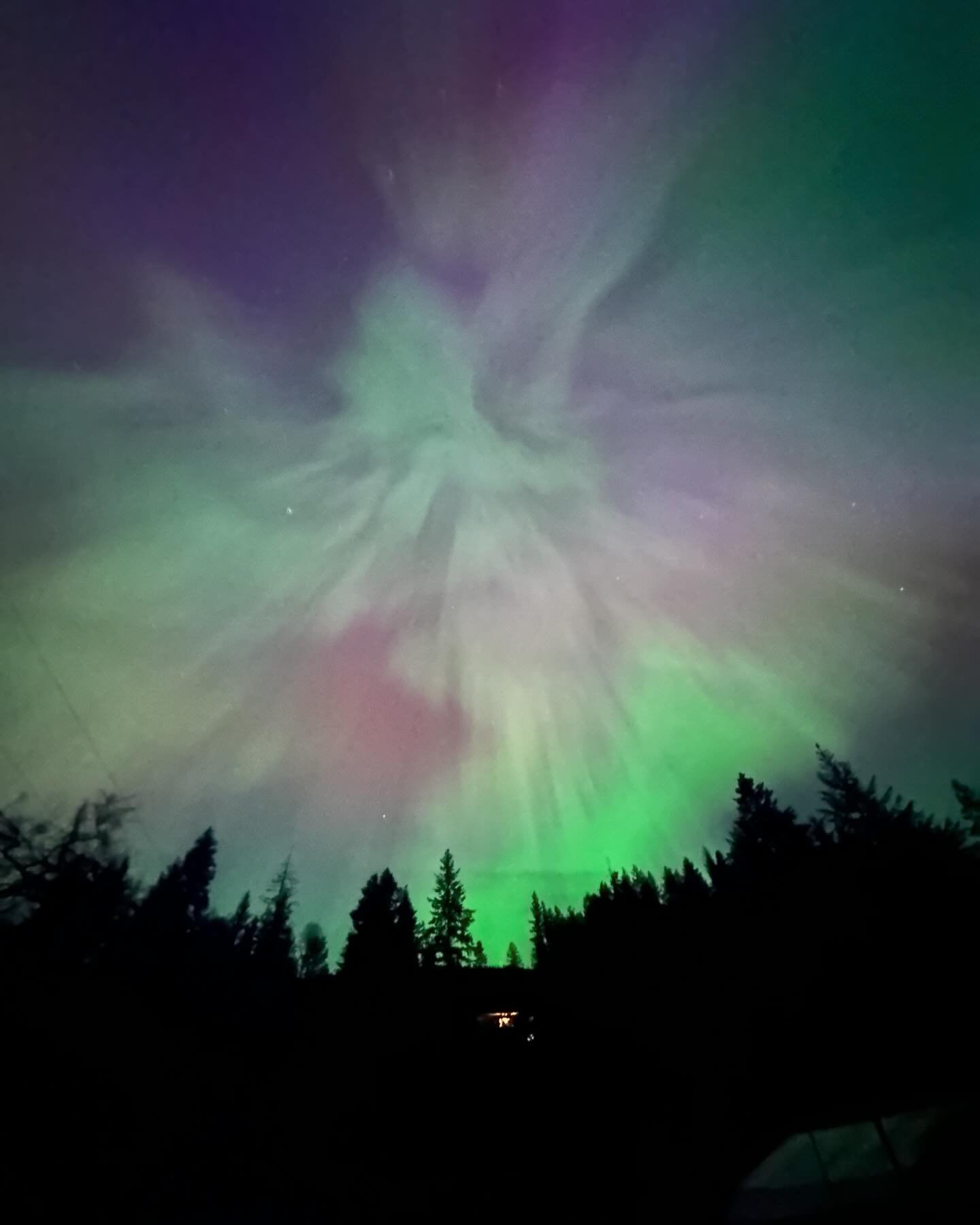 Over our house last night. Total magic. The phone camera automatically captured a heightened version of reality, so what the naked eye saw was more muted than this, but was still awe inspiring to lay out, cuddling my kid under a blanket, and marvel a