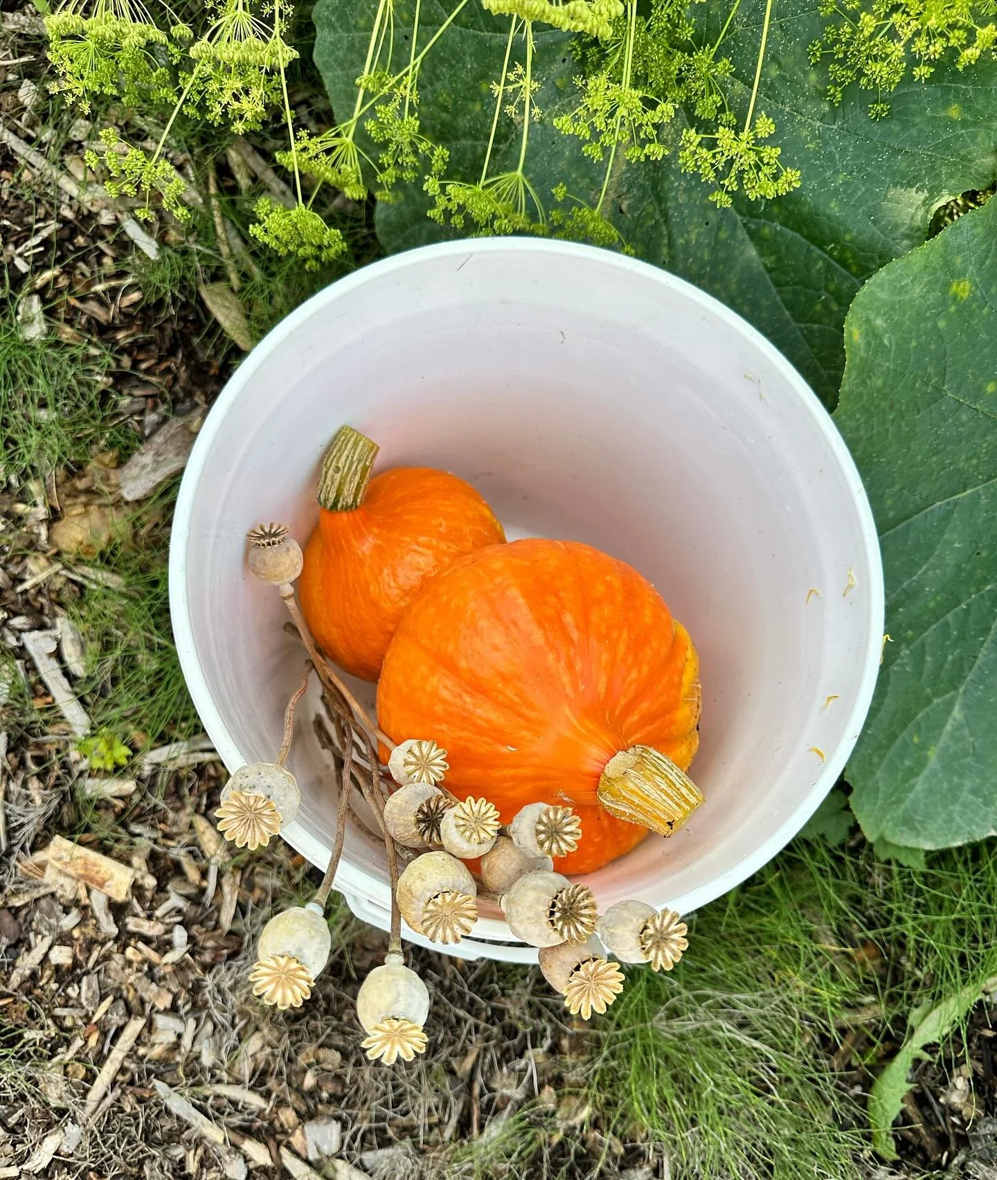 That time of year again… counting my blessings.