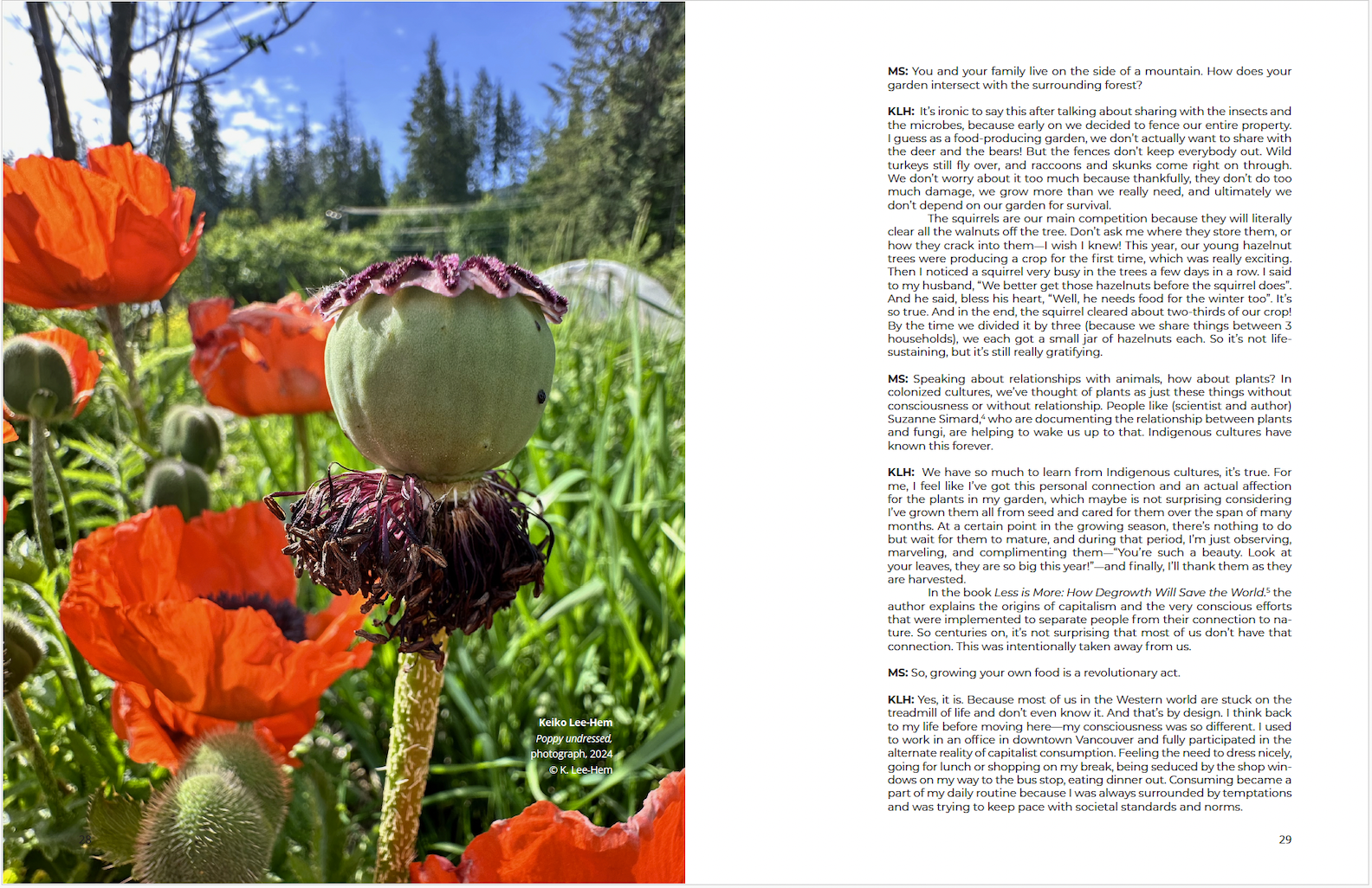 Antennae Magazine 5.png