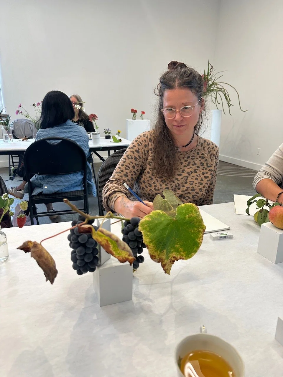 Drawing from Nature Fall 2025 3.jpeg