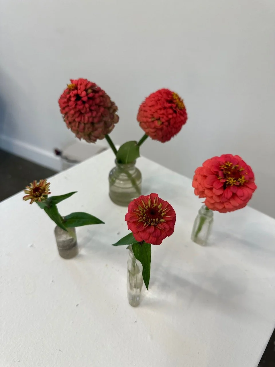 Drawing from Nature Fall 2025 6.jpeg