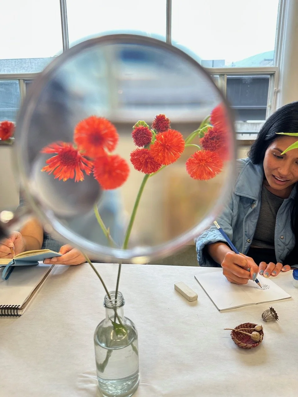 Drawing from Nature Fall 2025 13.jpeg