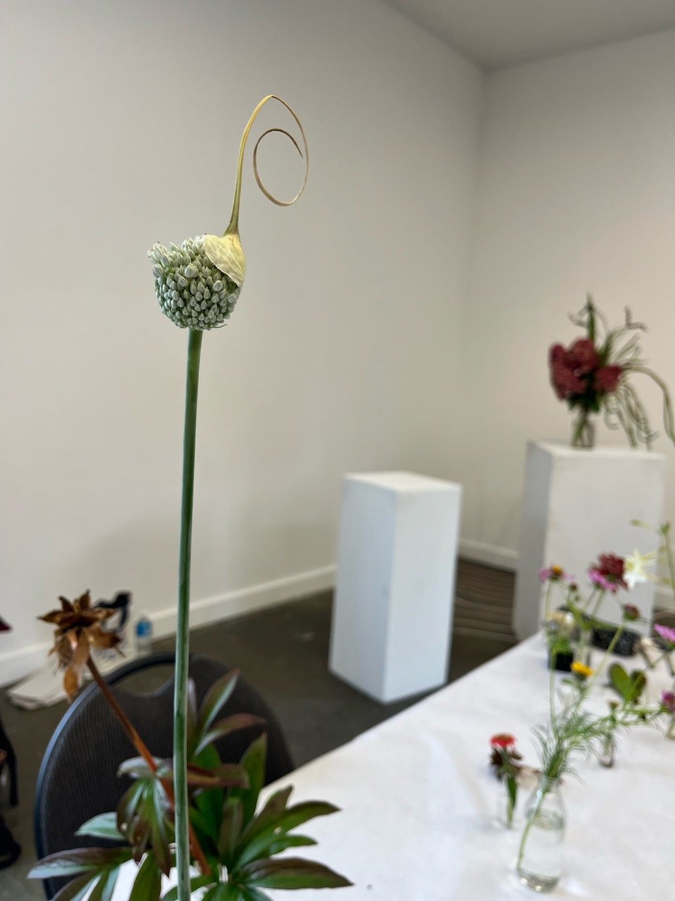 Drawing from Nature Fall 2025 32.jpeg