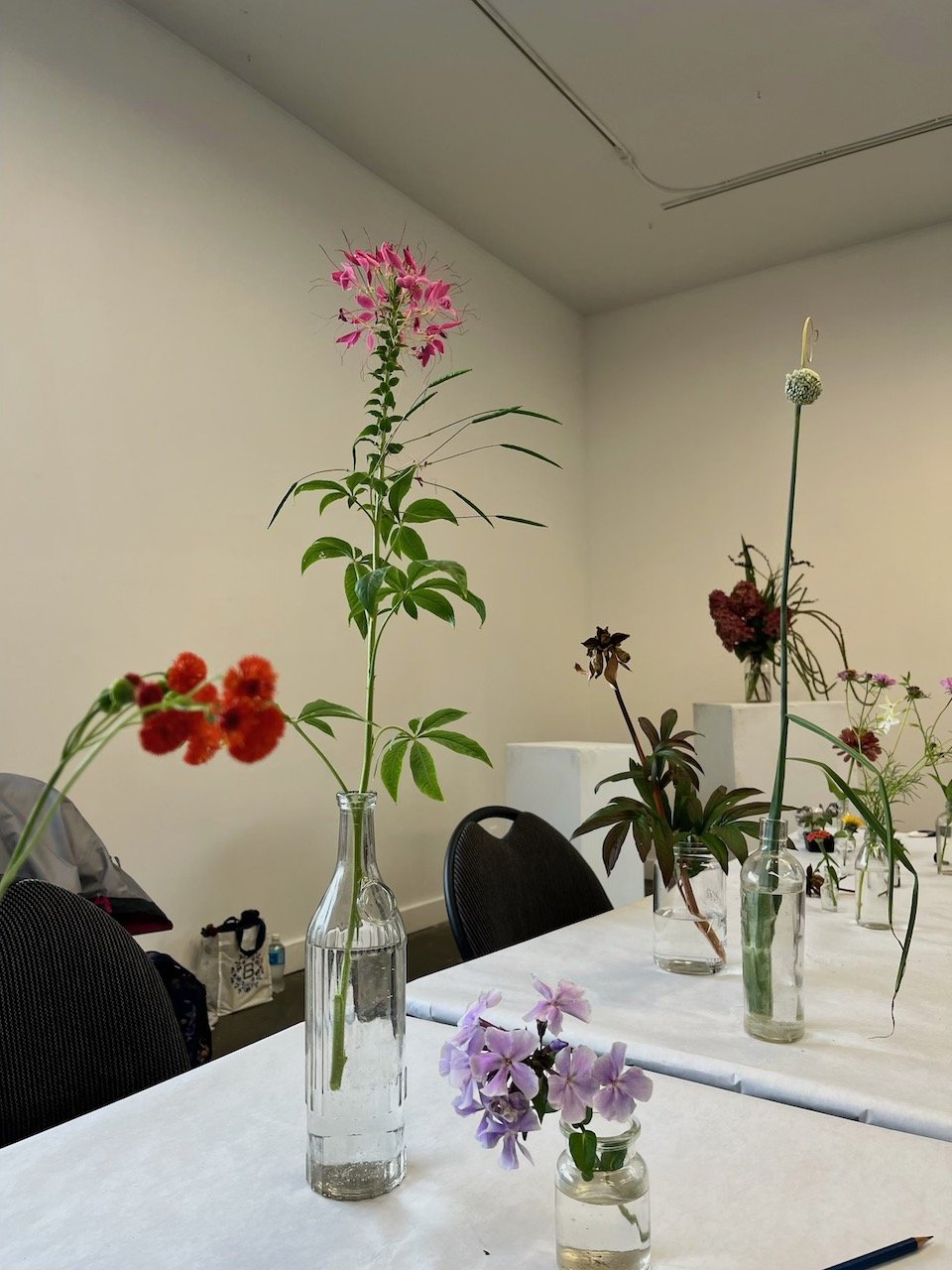 Drawing from Nature Fall 2025 33.jpeg