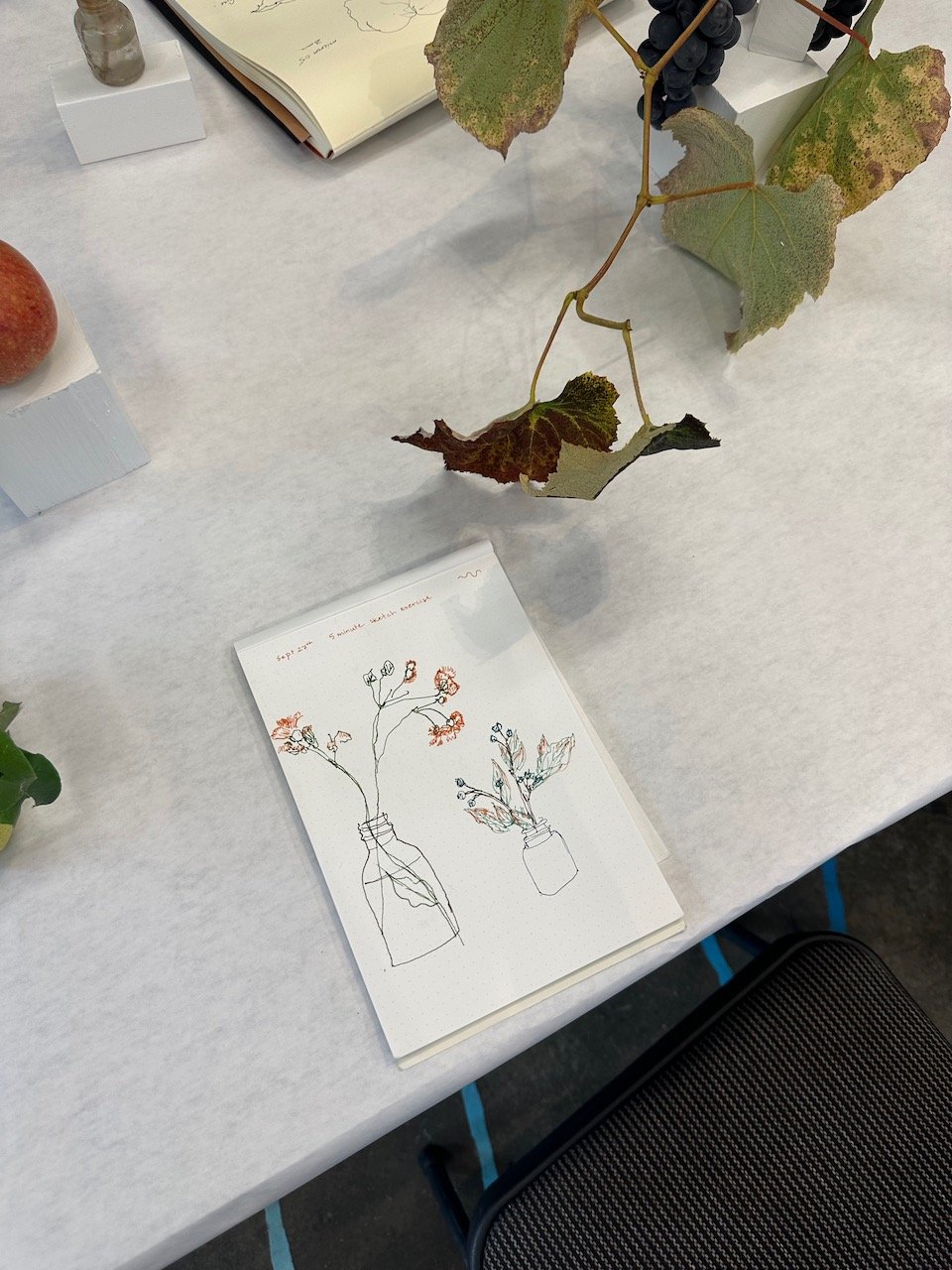 Drawing from Nature Fall 2025 11.jpeg