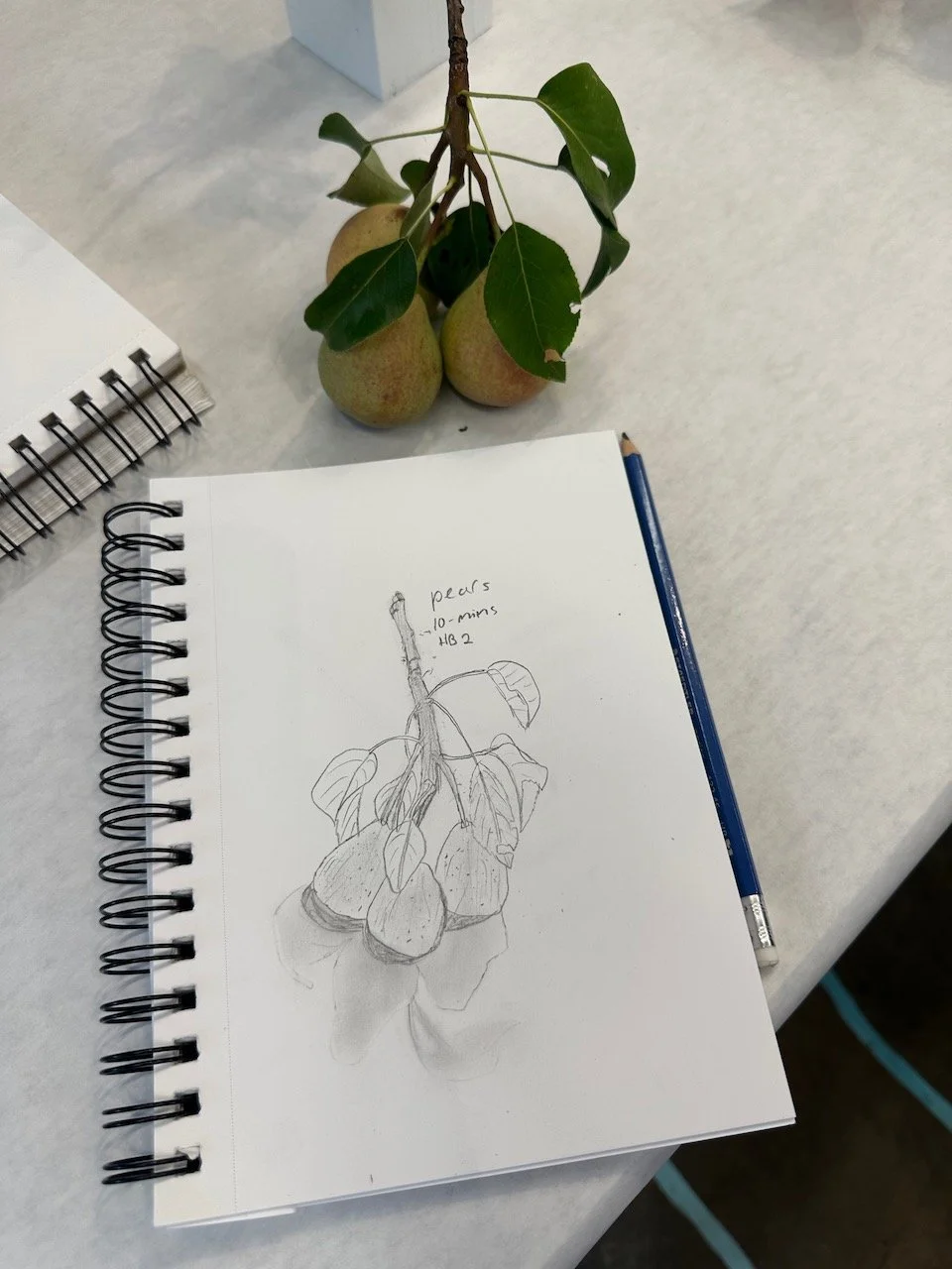 Drawing from Nature Fall 2025 14.jpeg