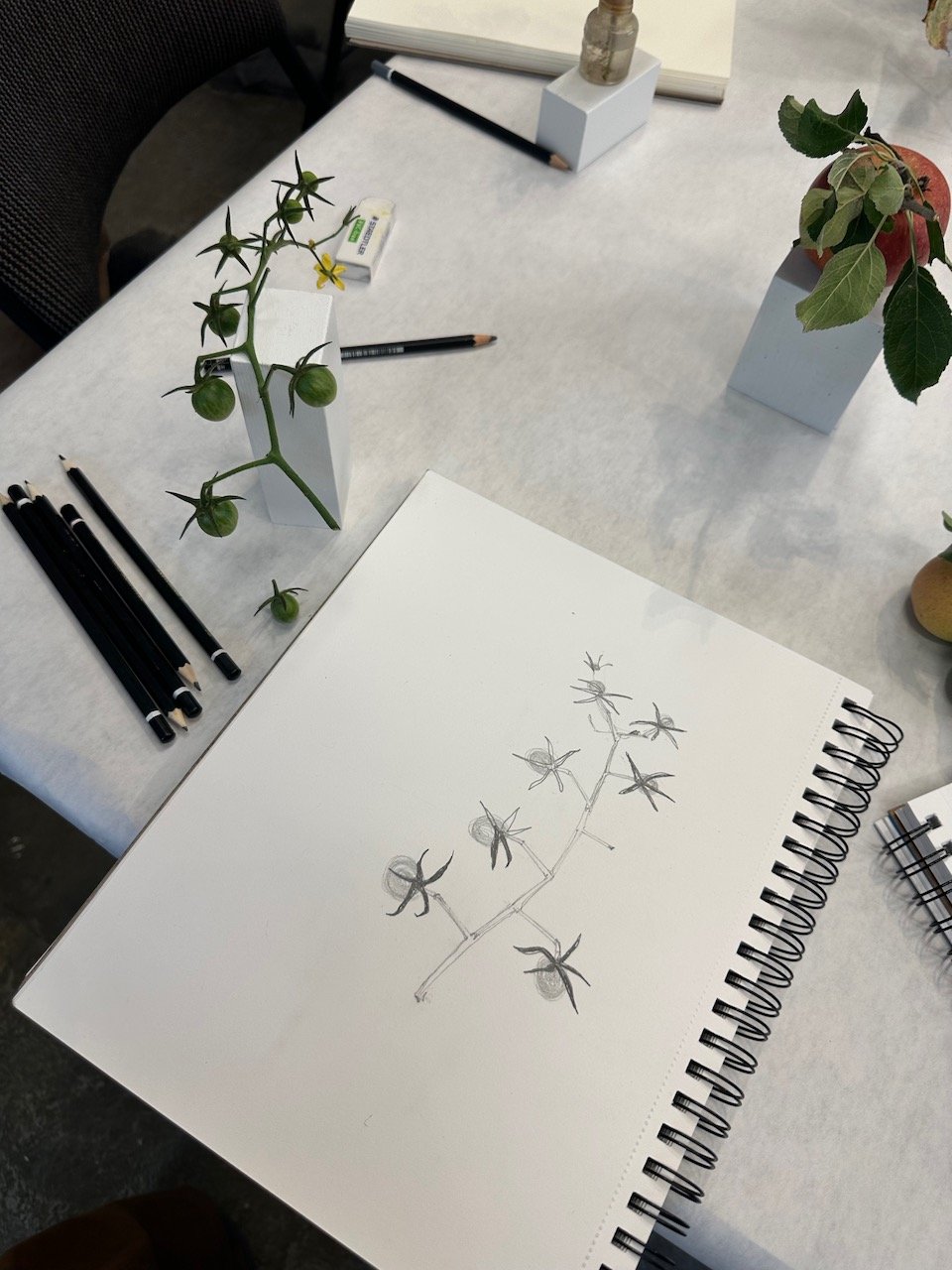 Drawing from Nature Fall 2025 15.jpeg