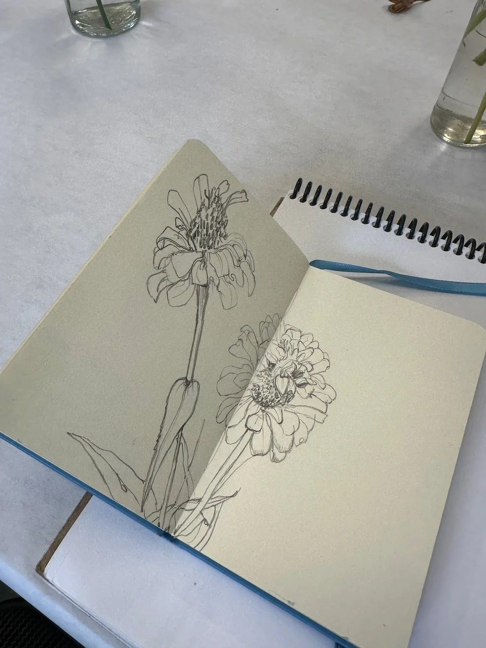 Drawing from Nature Fall 2025 16.jpeg