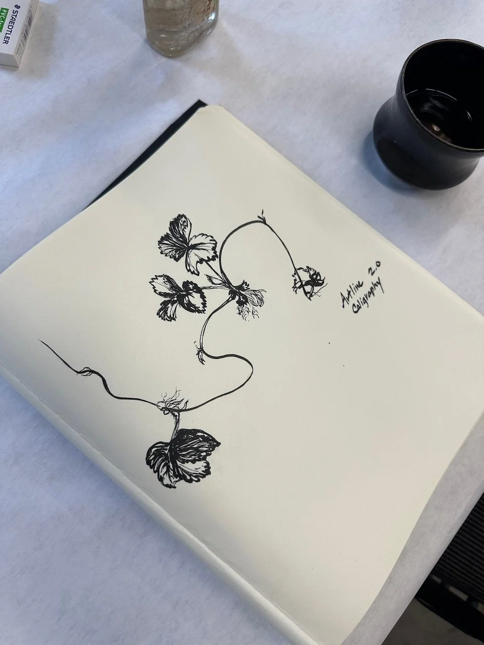 Drawing from Nature Fall 2025 17.jpeg
