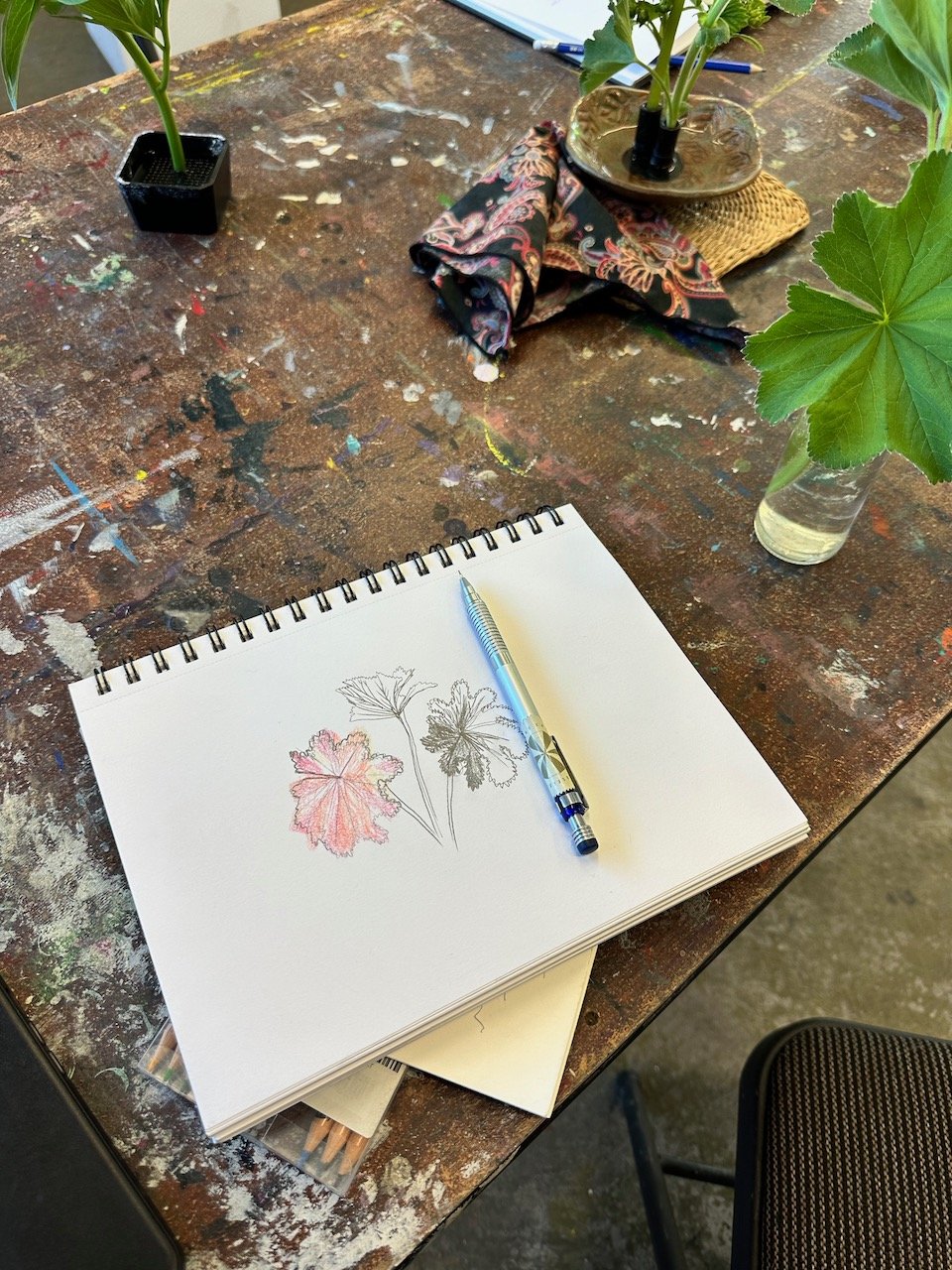 8_Keiko-Nature-Drawing-Session-Oxygen 24.05.11.jpeg