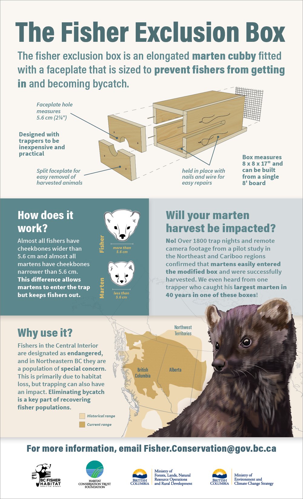KeikoCreative_Exclusion-Box-Infographic-1.jpg