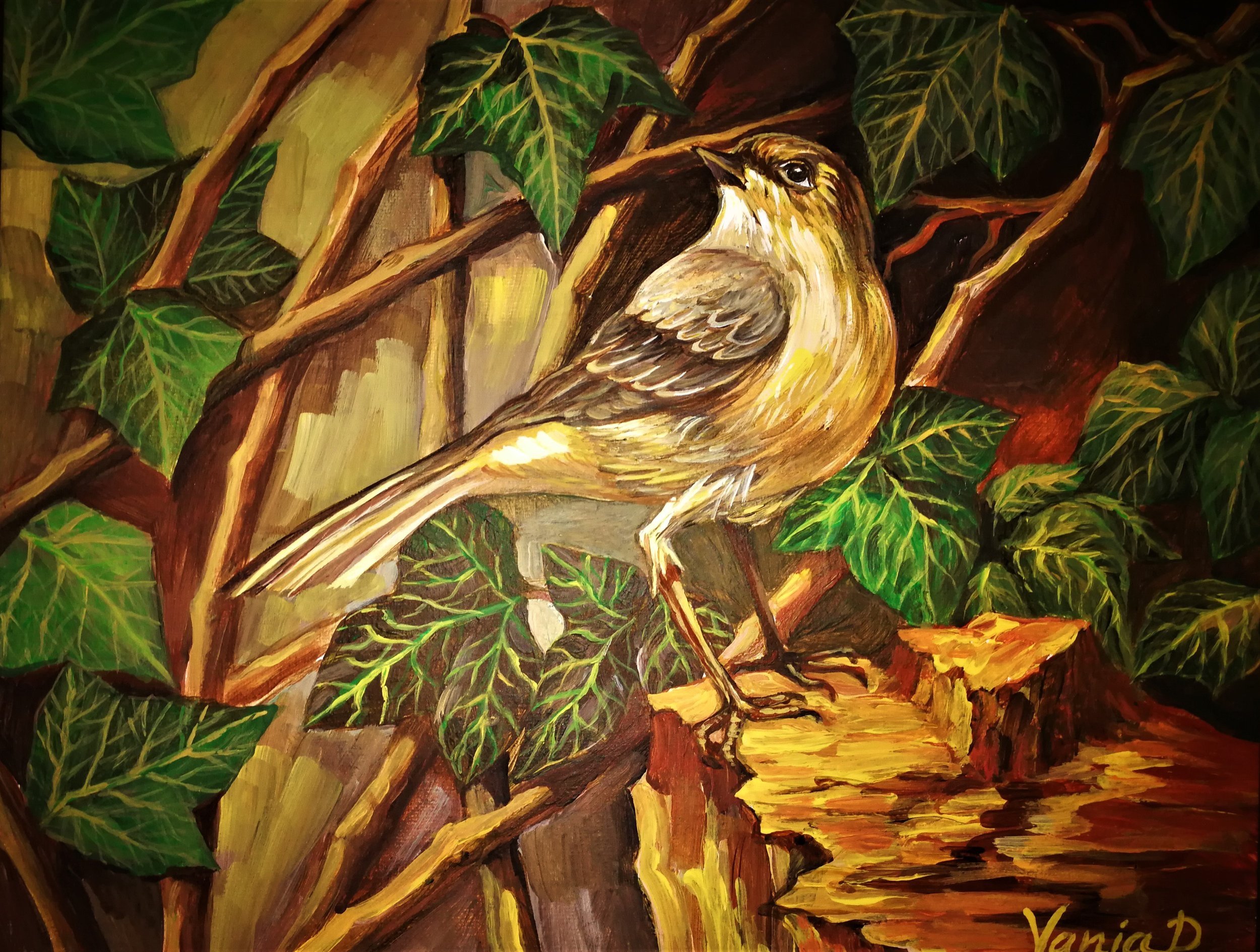 The Birdie _Vania Dimitrova.jpg