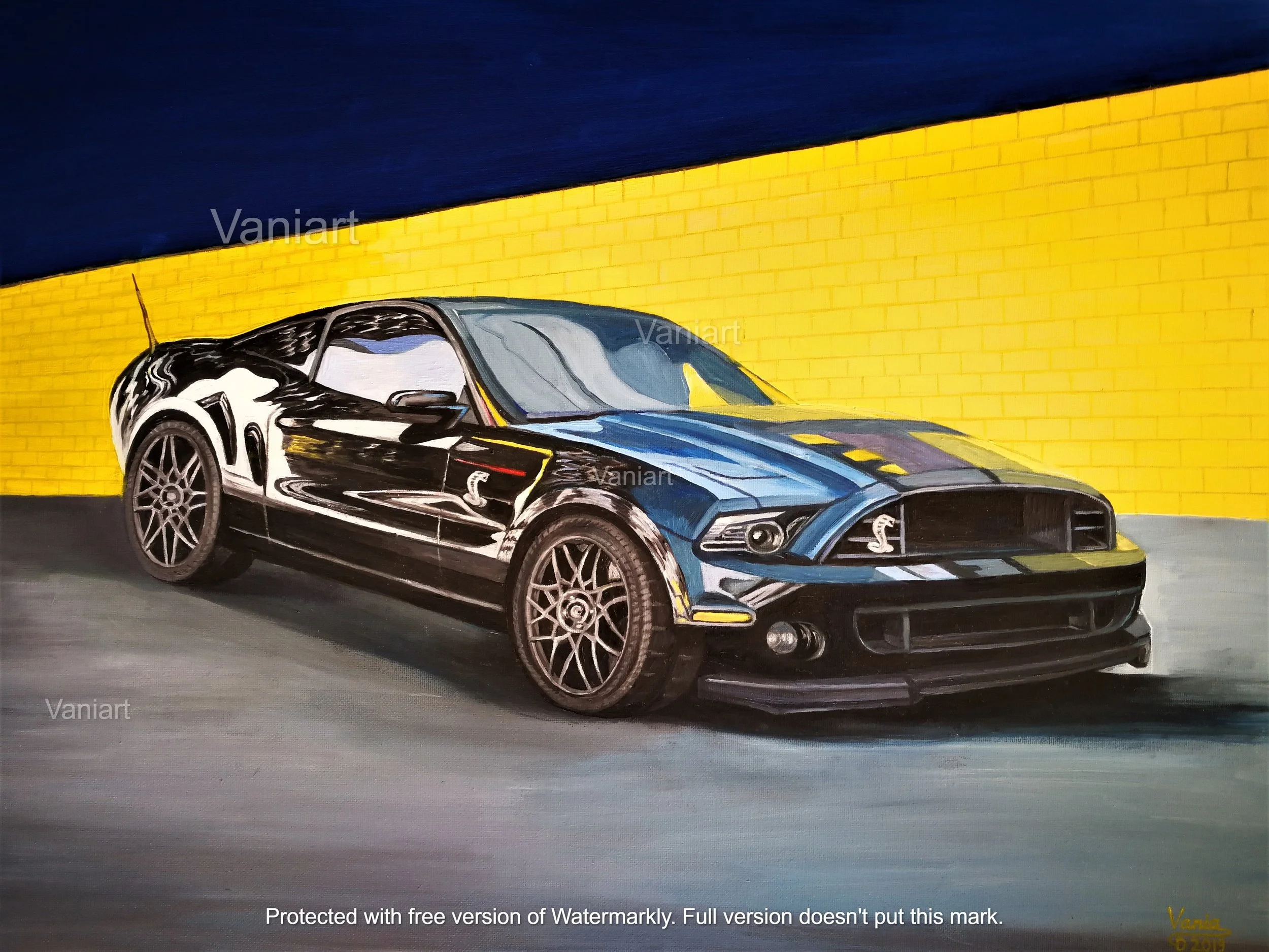 Shelby watermarked _edited.jpg