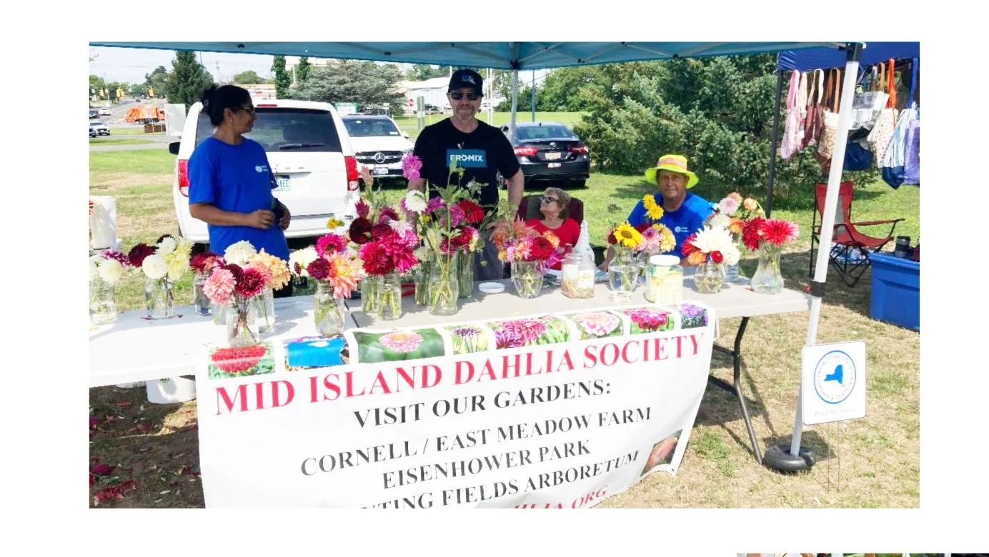 CCE Nassau Farmers Market pg 1C.jpg
