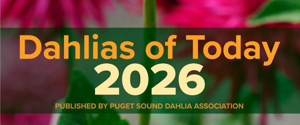Dahlias of Today Newsletter