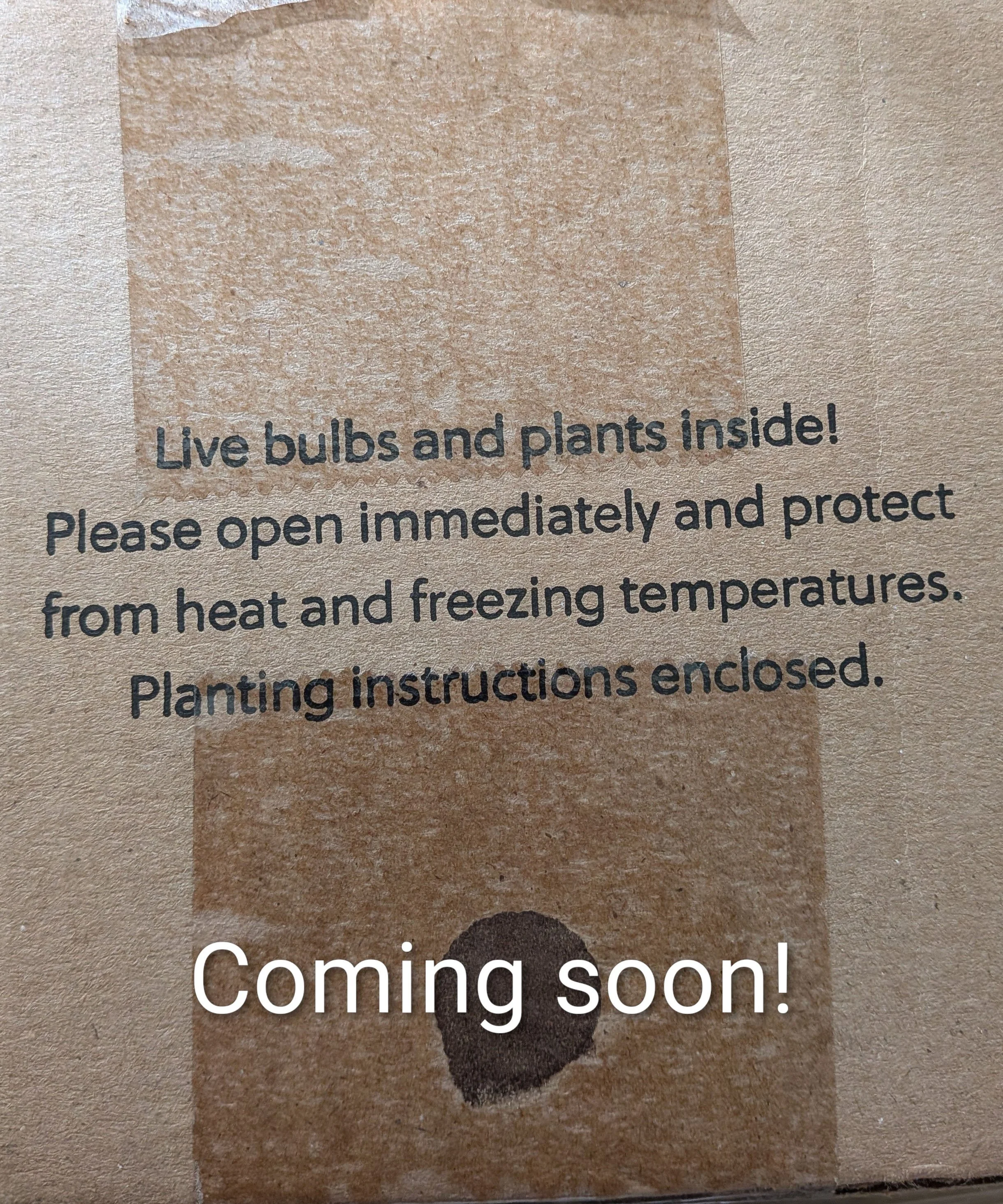 1st 2026 Dahlia meeting