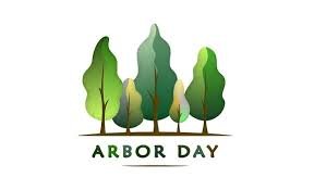 Planting Fields Arbor Day