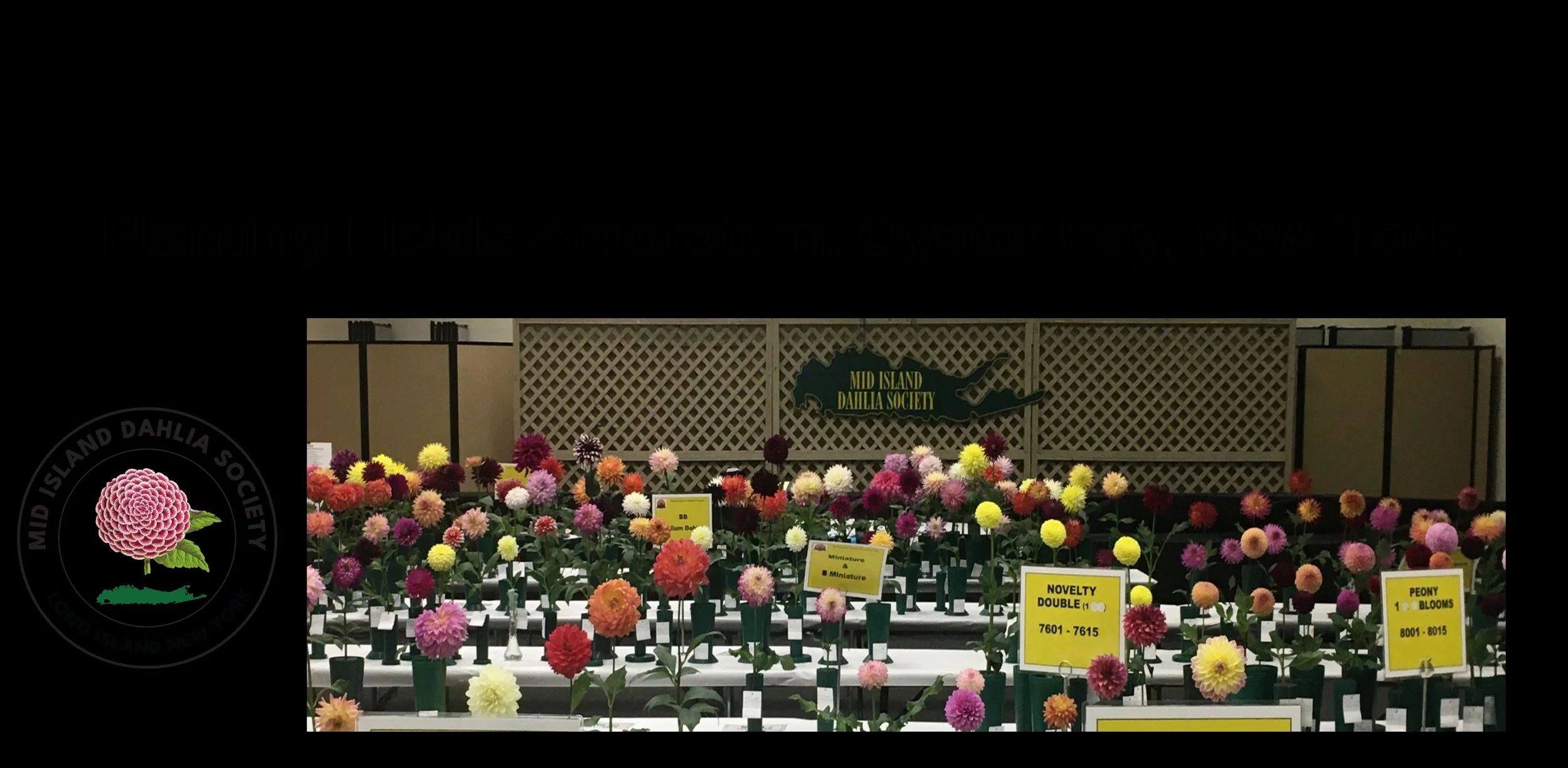 Annual 60th Dahlia Exhibition Show