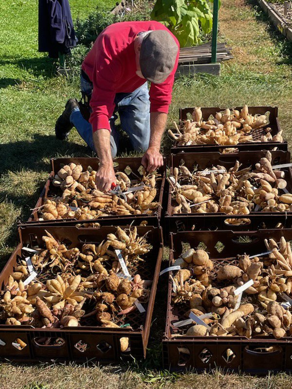 MIDS November Meeting 