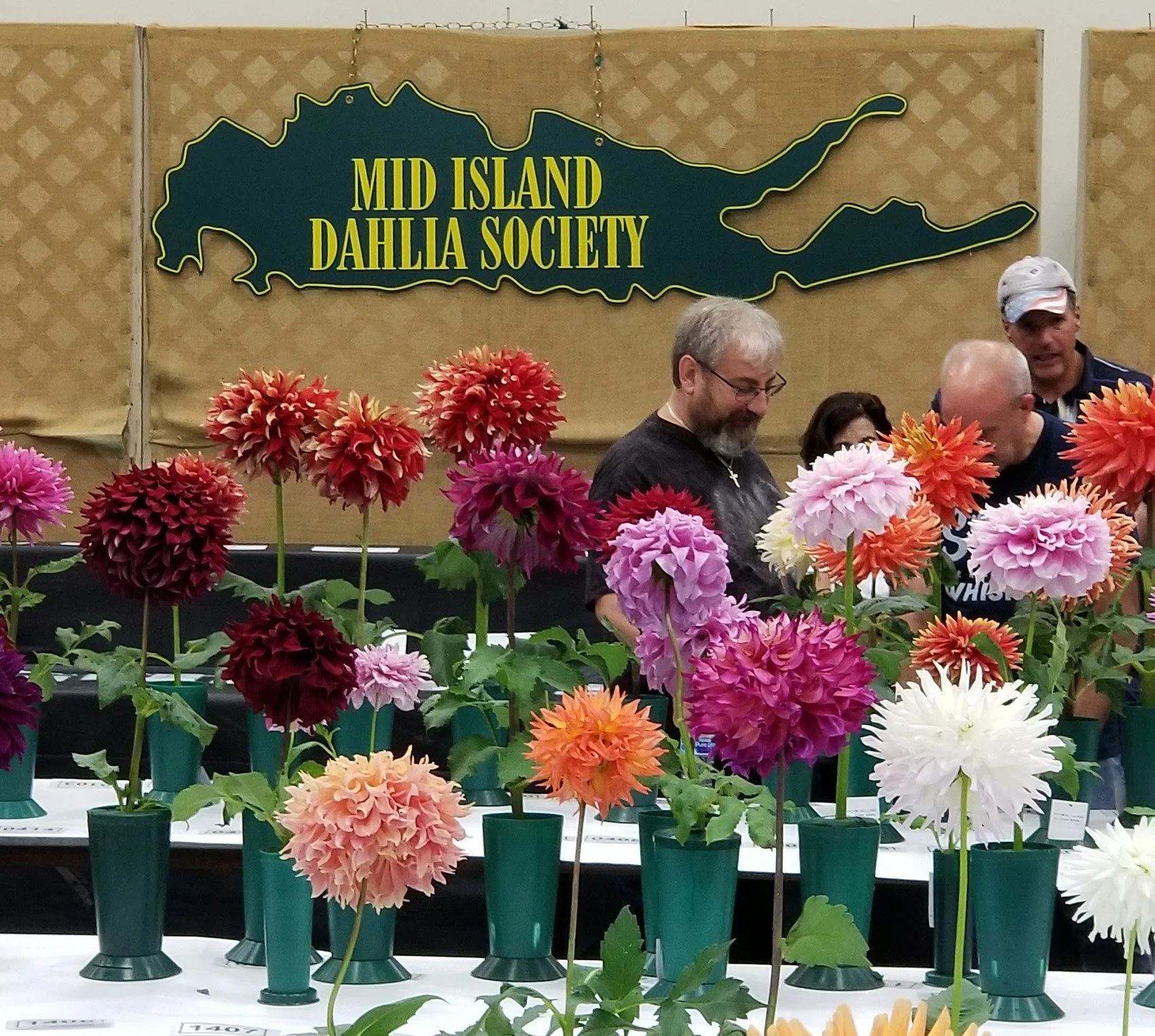 Annual 60th Dahlia Show &amp; Exhibition 
