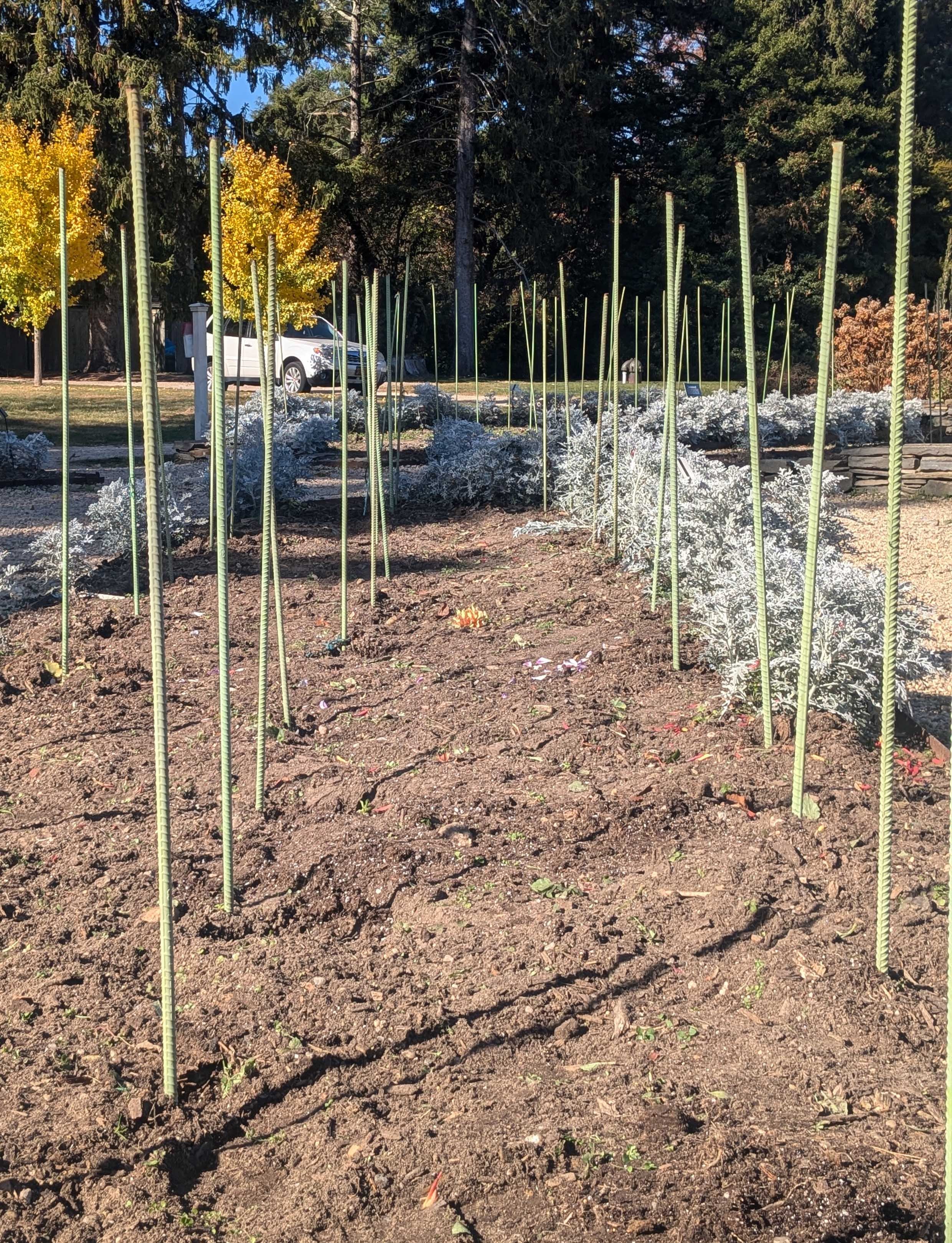 Putting your Garden to Bed