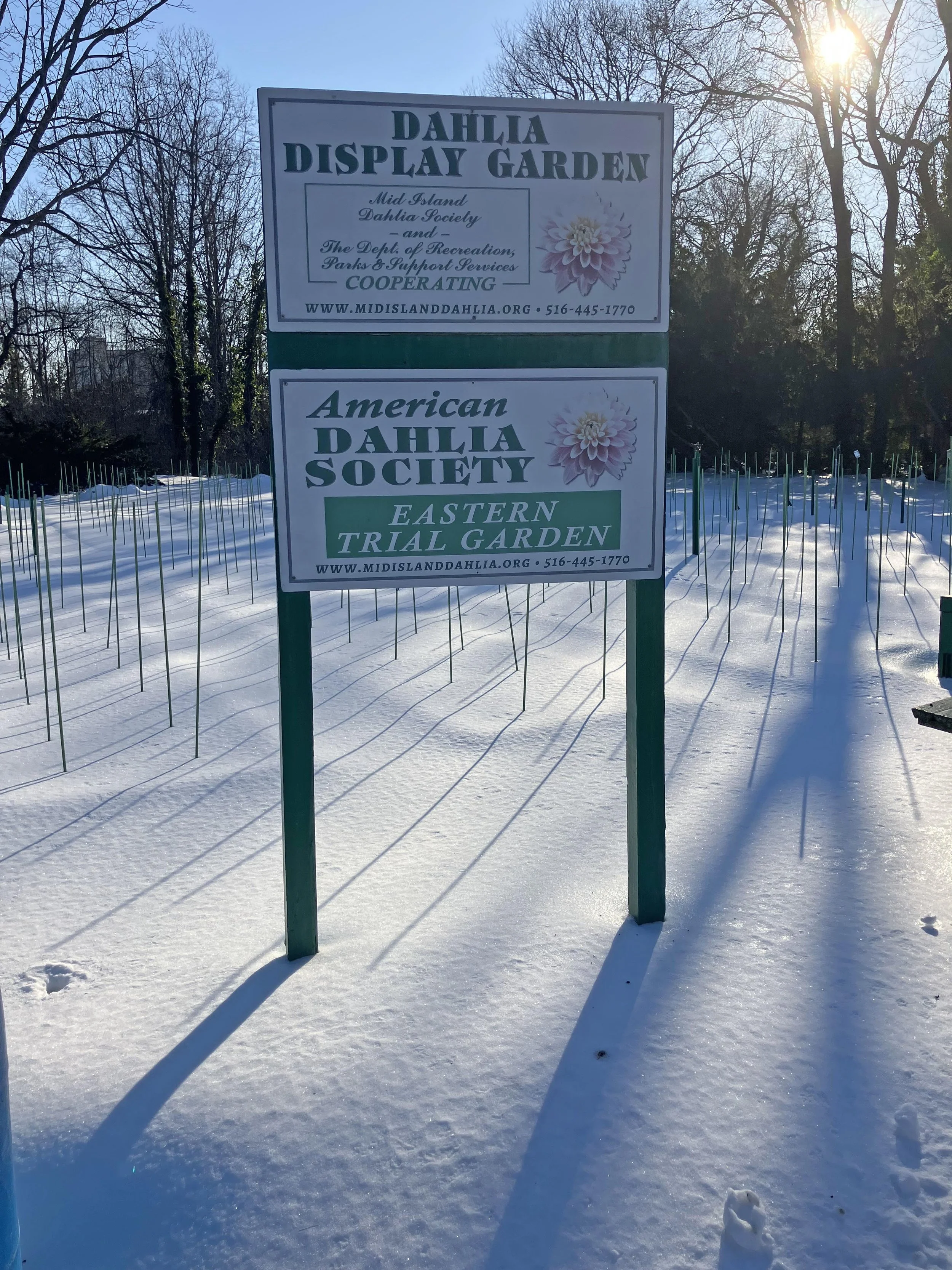 Winter Eisenhower.jpg