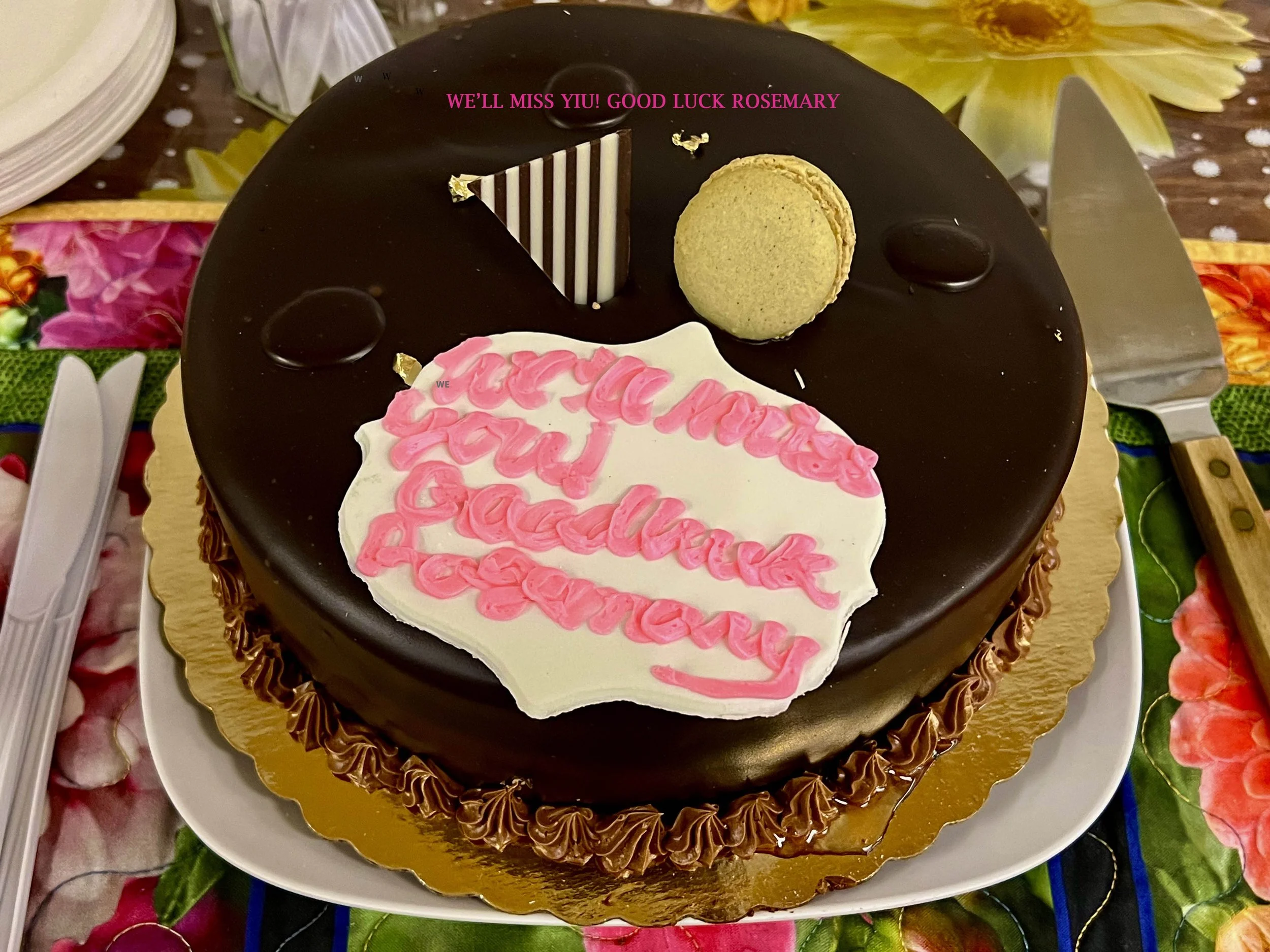 A round chocolate cake with a glossy chocolate glaze, decorated with pink and white whipped cream writing that says 'Good Luck Rosemary,' topped with a green macaron and a white and brown striped chocolate piece. The cake sits on a white plate, surro
