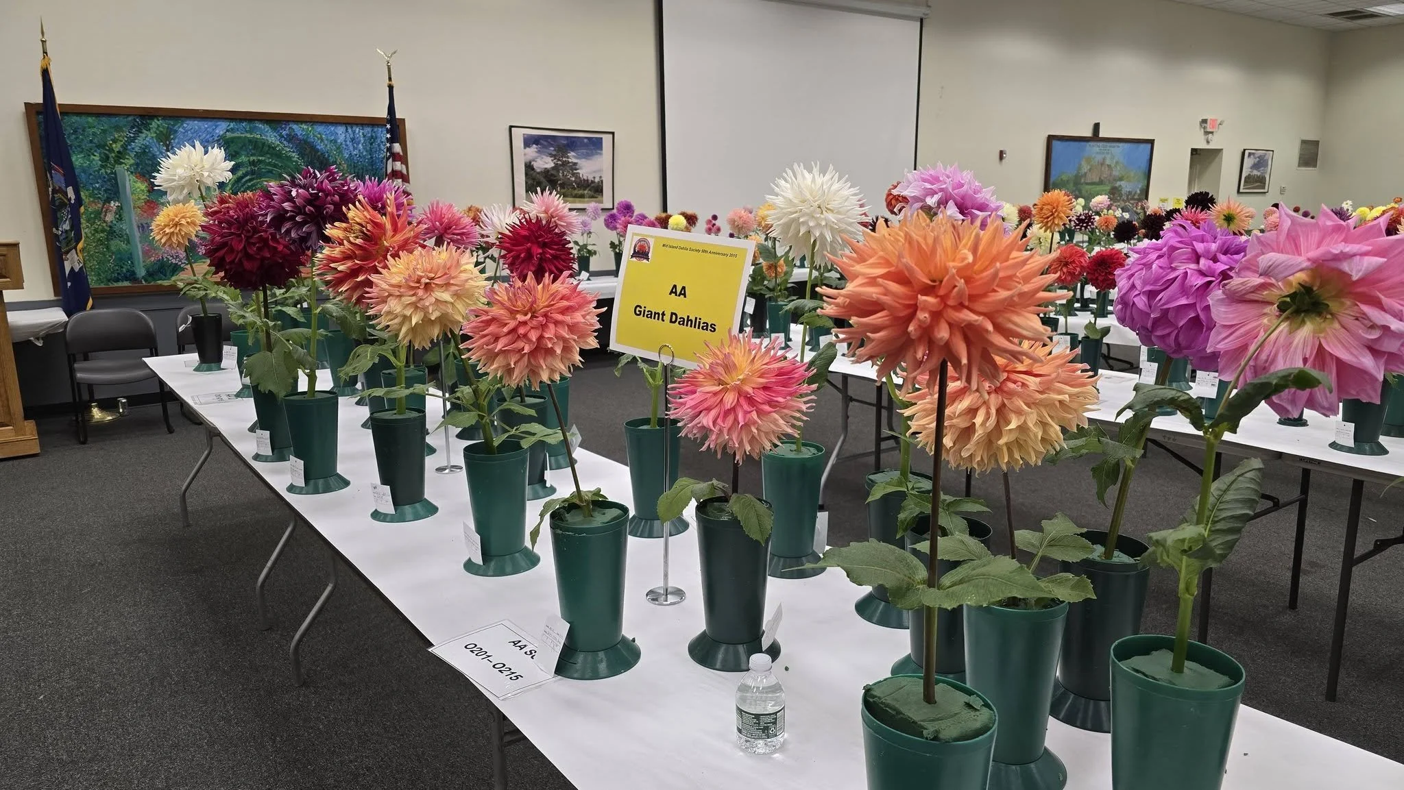 AA Blooms.jpg