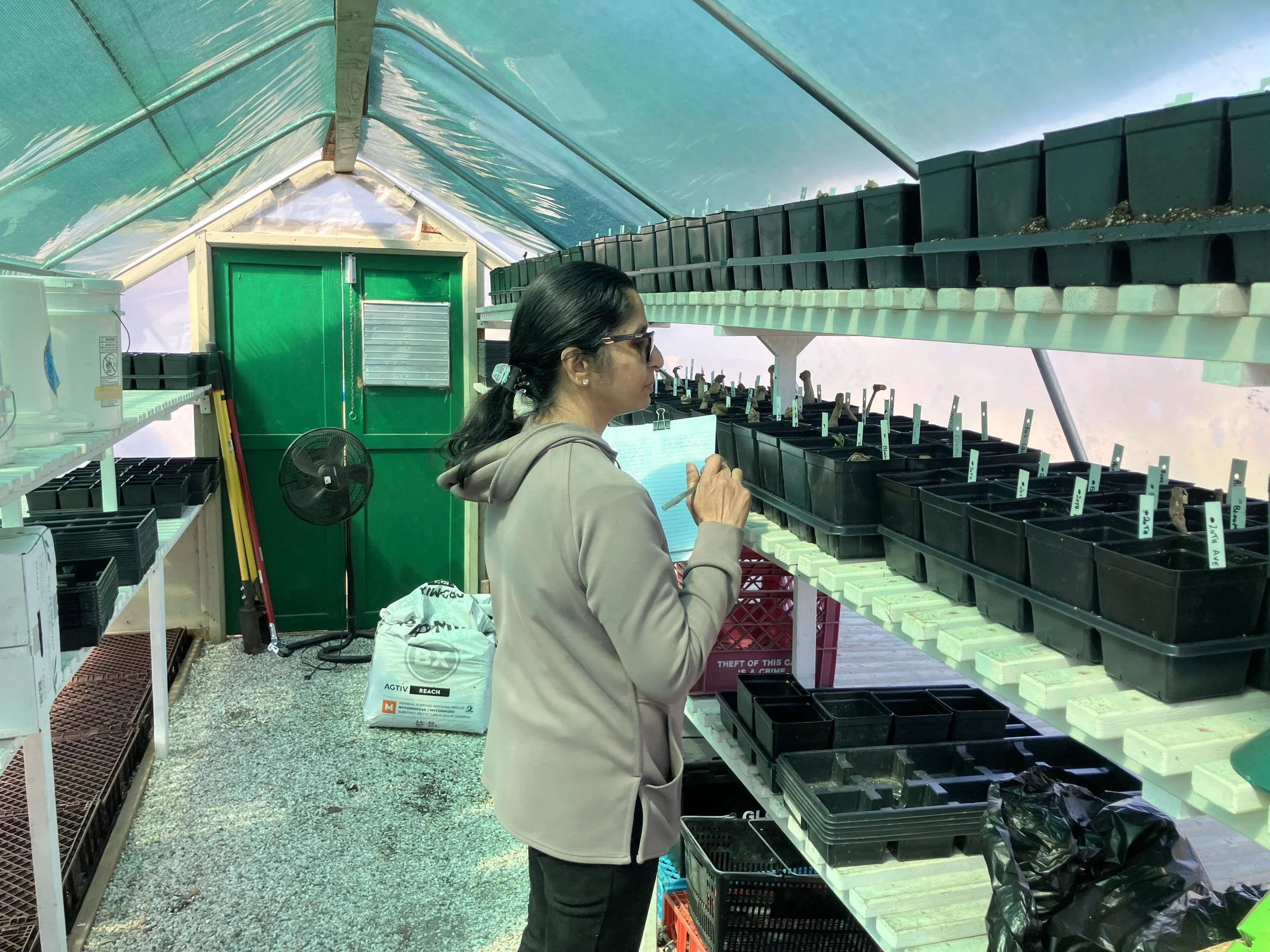 2026 Cornell potting 3.jpg