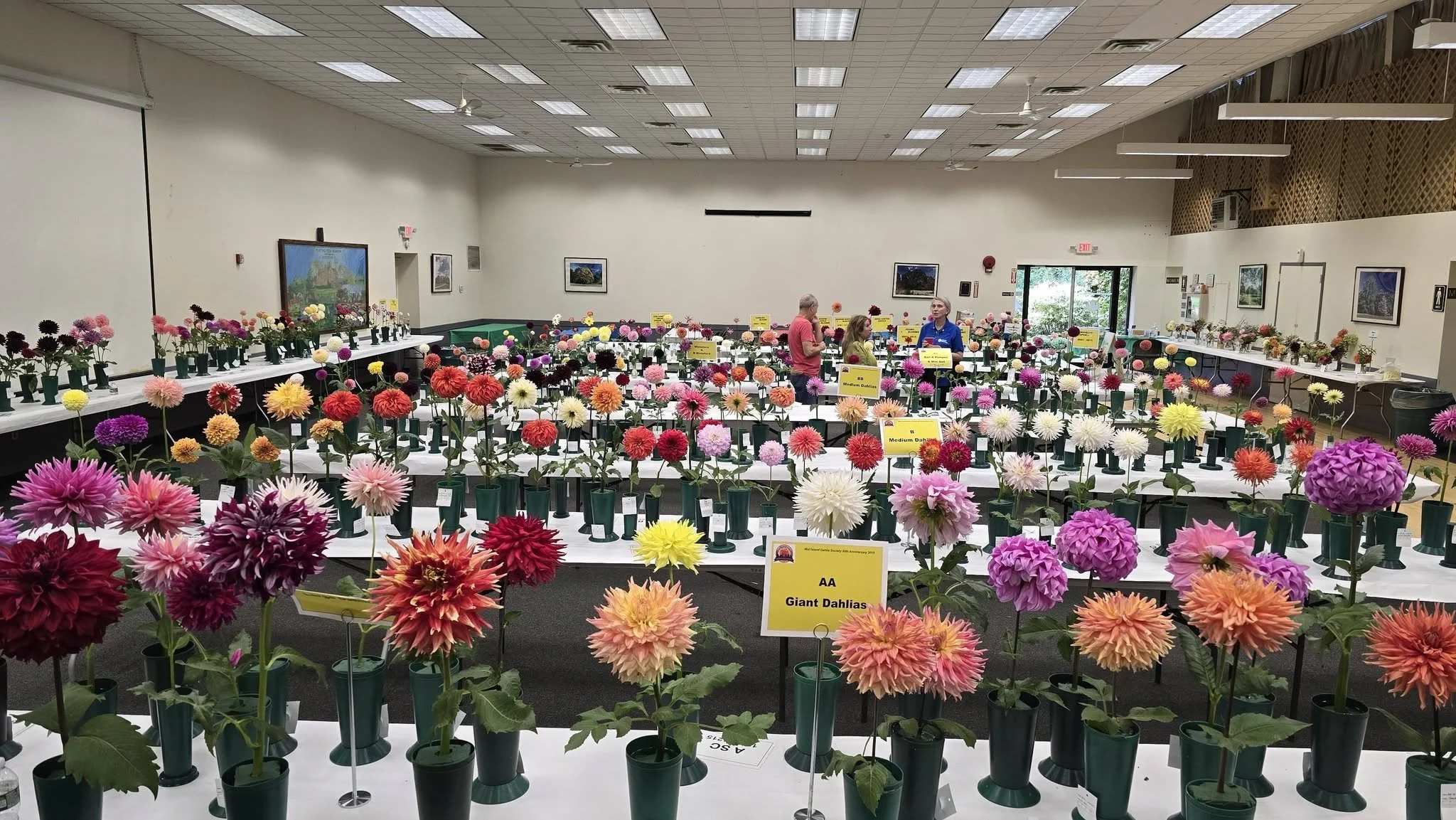 Bloom display.jpg