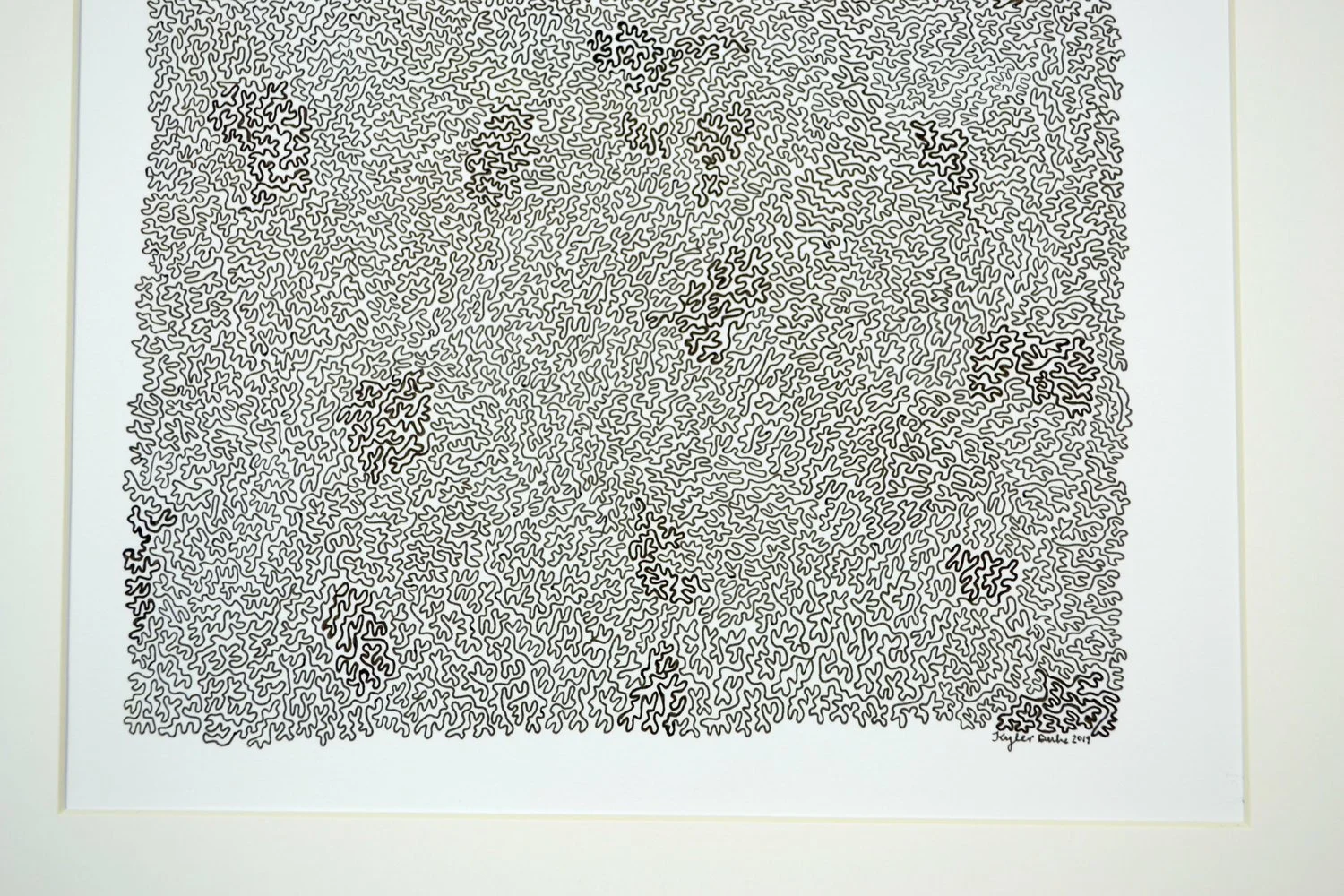 detail.jpg