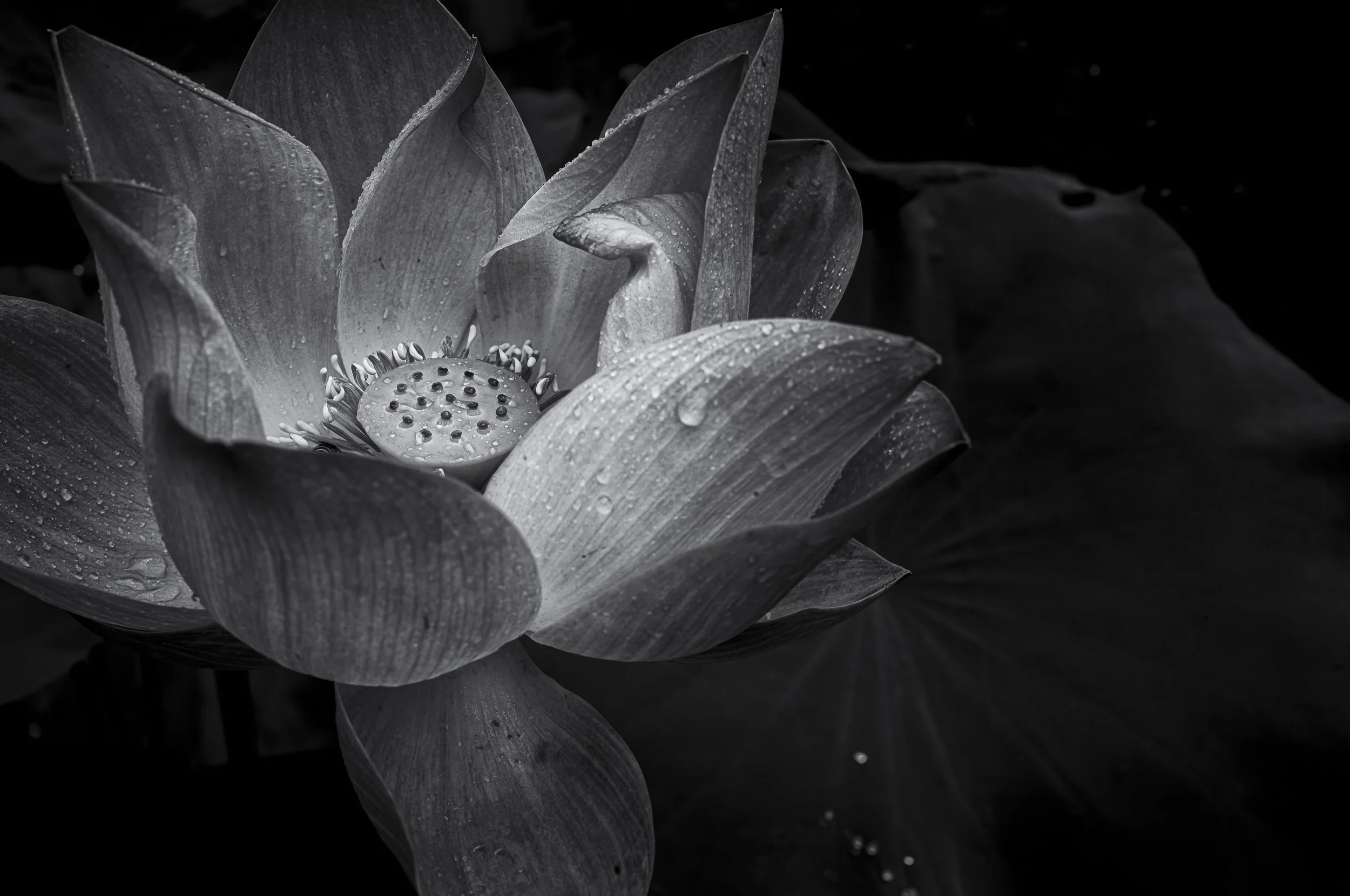 20260920_Thailand_L9007318-Bearbeitet-2.JPG