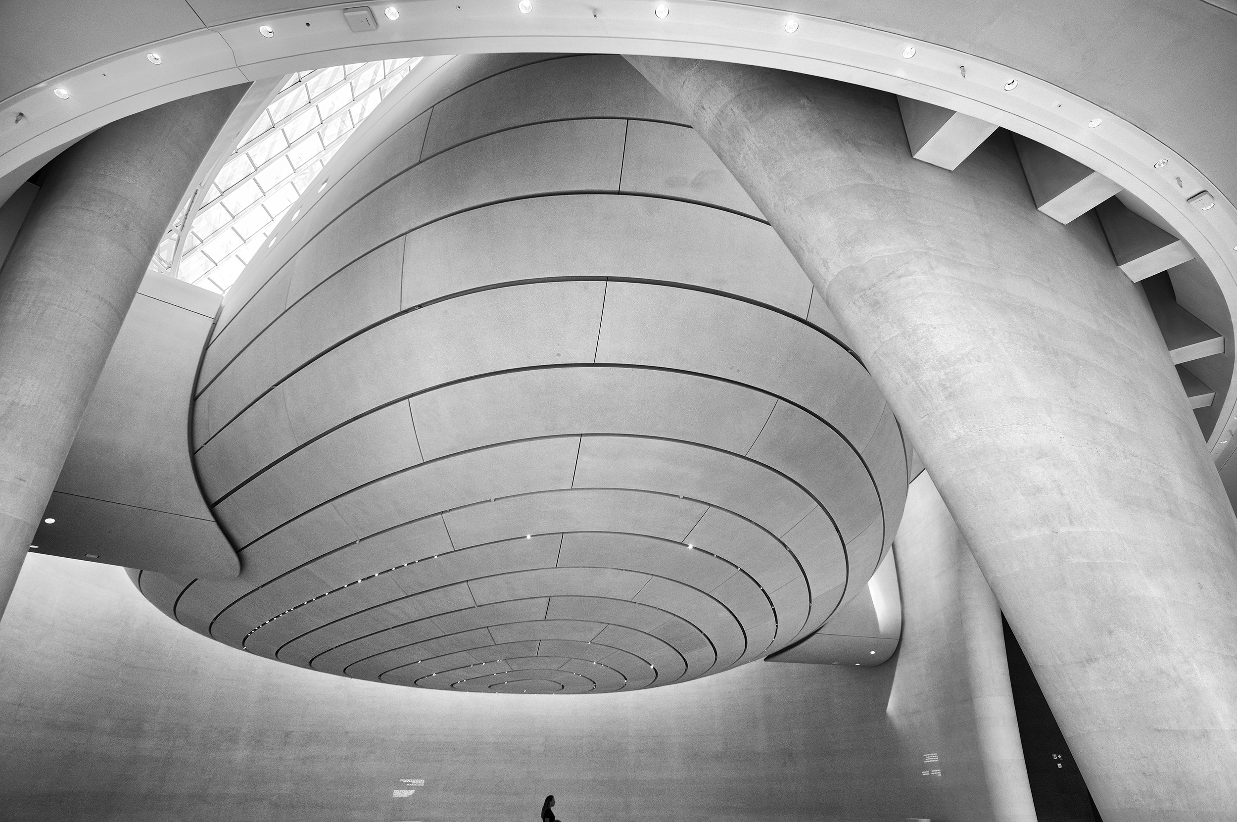 20260123_Abu-Dhabi_L1003263-Bearbeitet-2.jpg