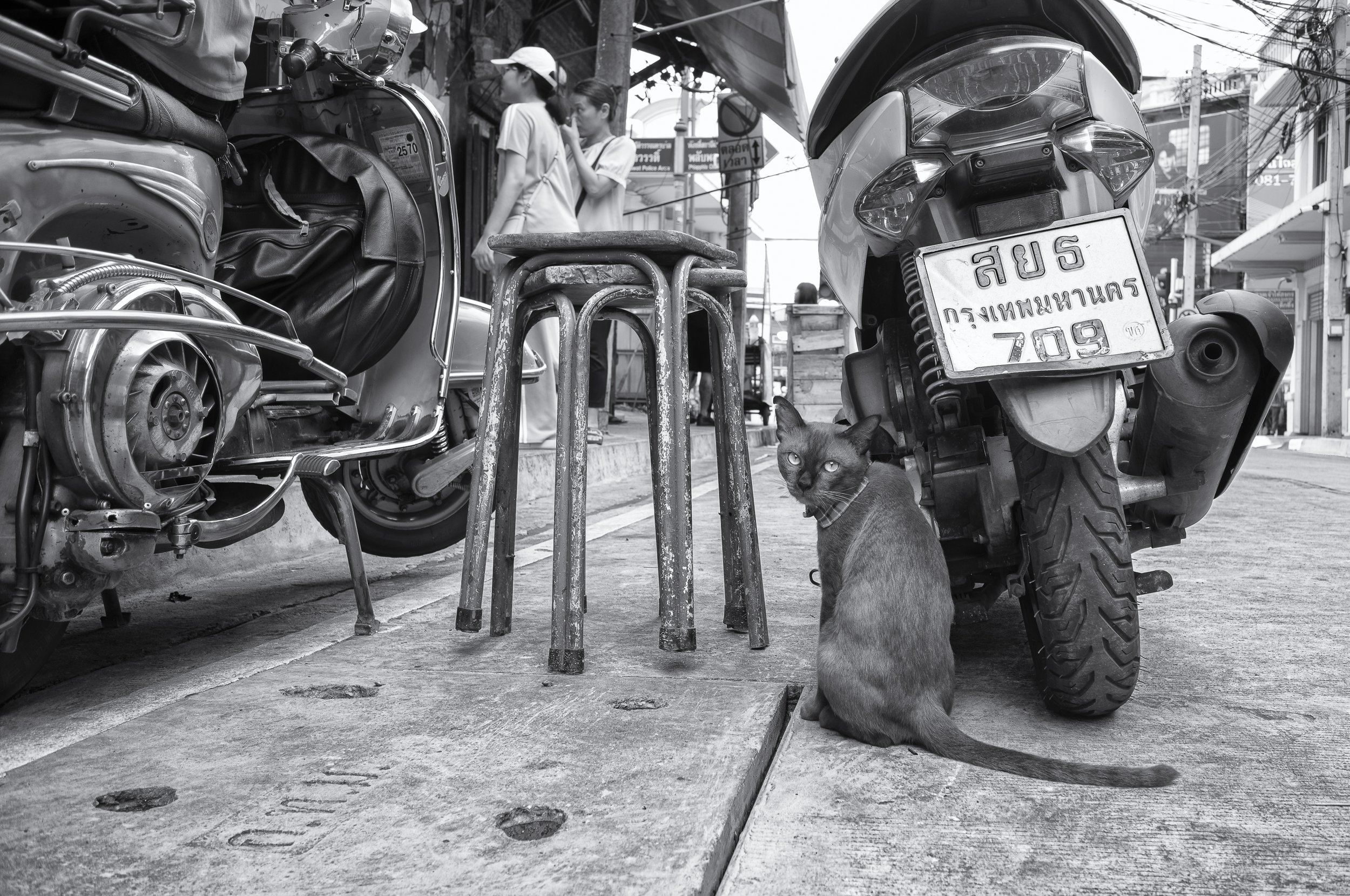 20260918_Thailand_L9006977-Bearbeitet.JPG
