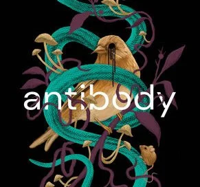 antibody