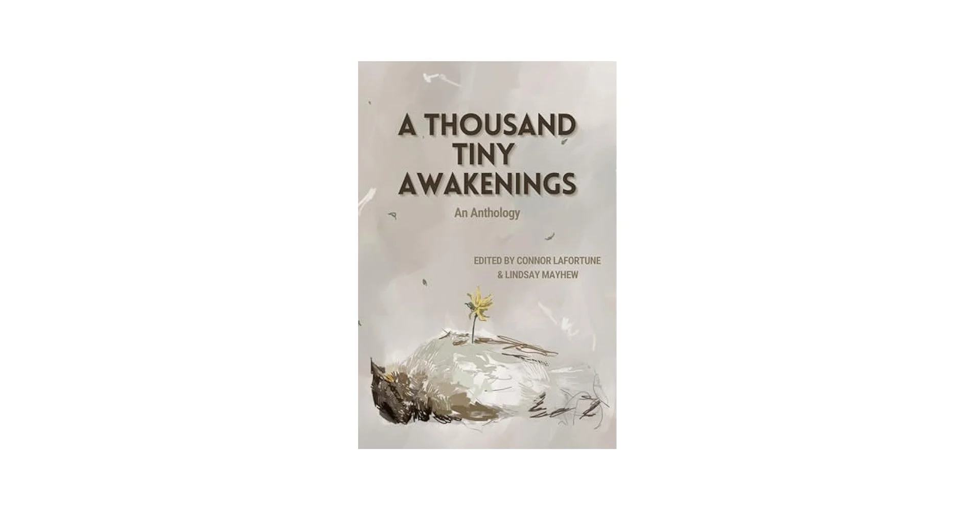A Thousand Tiny Awakenings Anthology